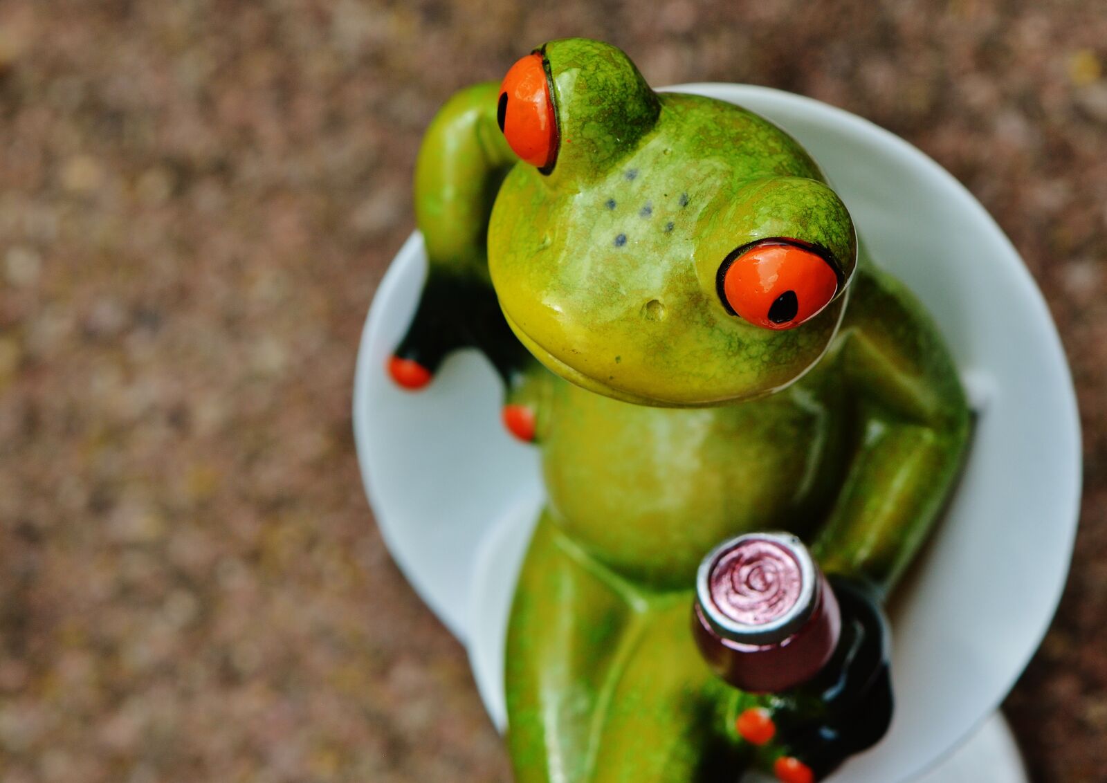 Nikon D3200 sample photo. Frog, chick, funny photography