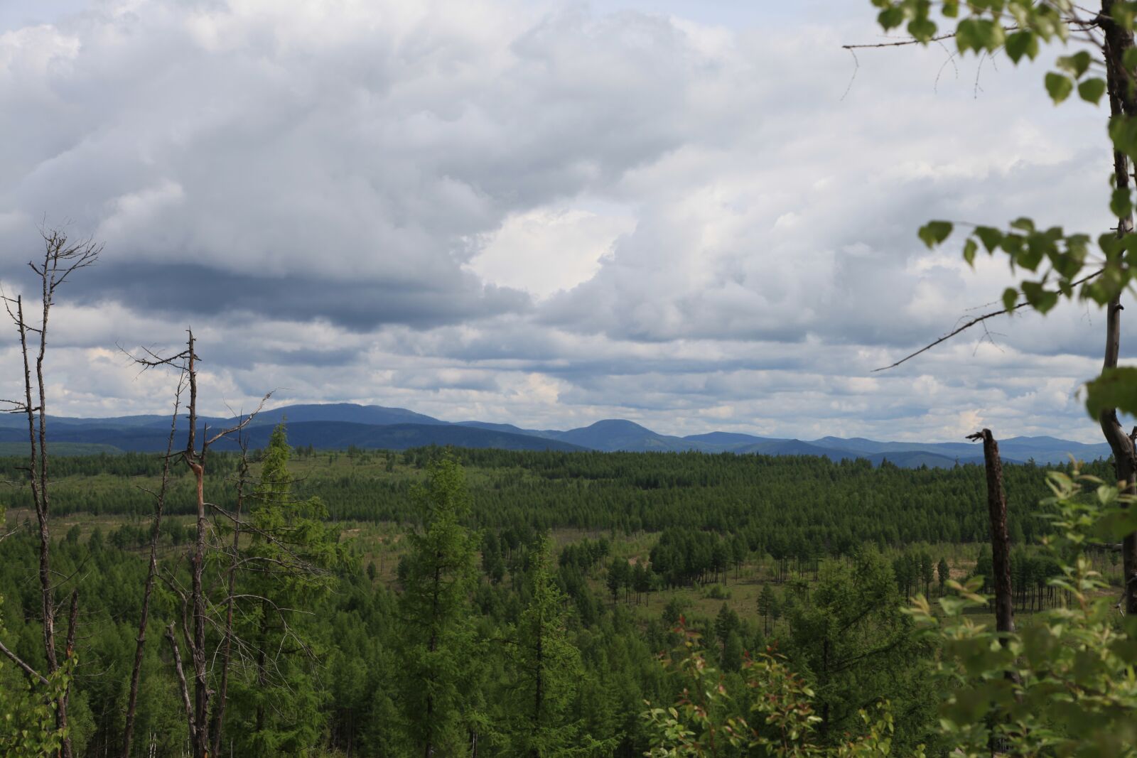 Canon EOS 5D Mark II sample photo. Prairie, sky, the scenery photography
