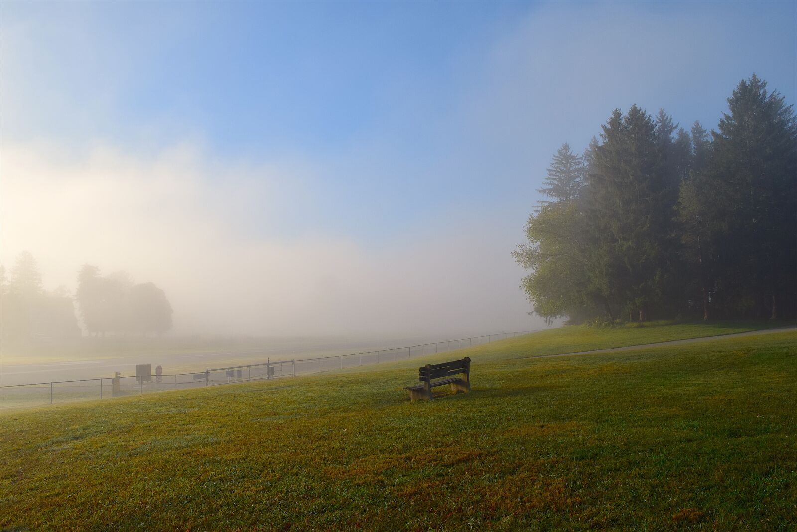 Nikon D3300 sample photo. Field, mist, morning photography