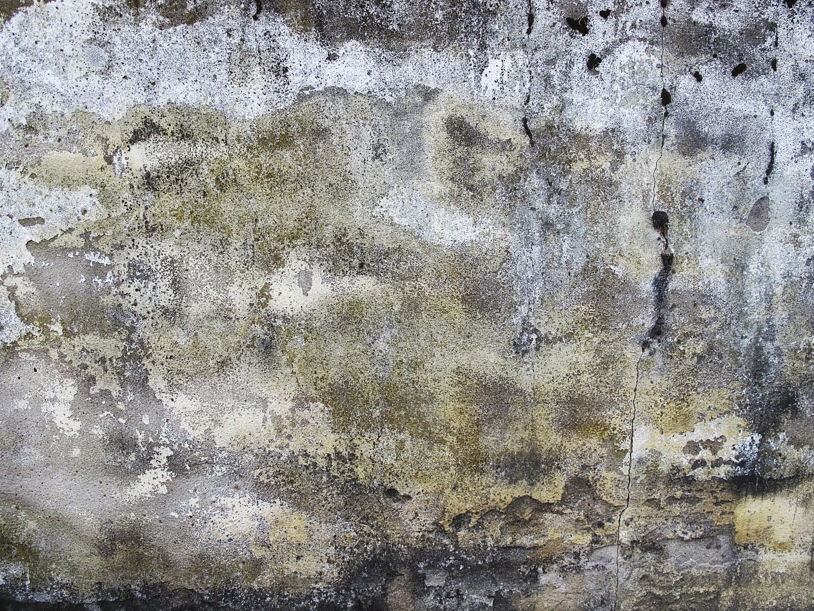 Canon PowerShot G12 sample photo. Wall, background, plaster photography