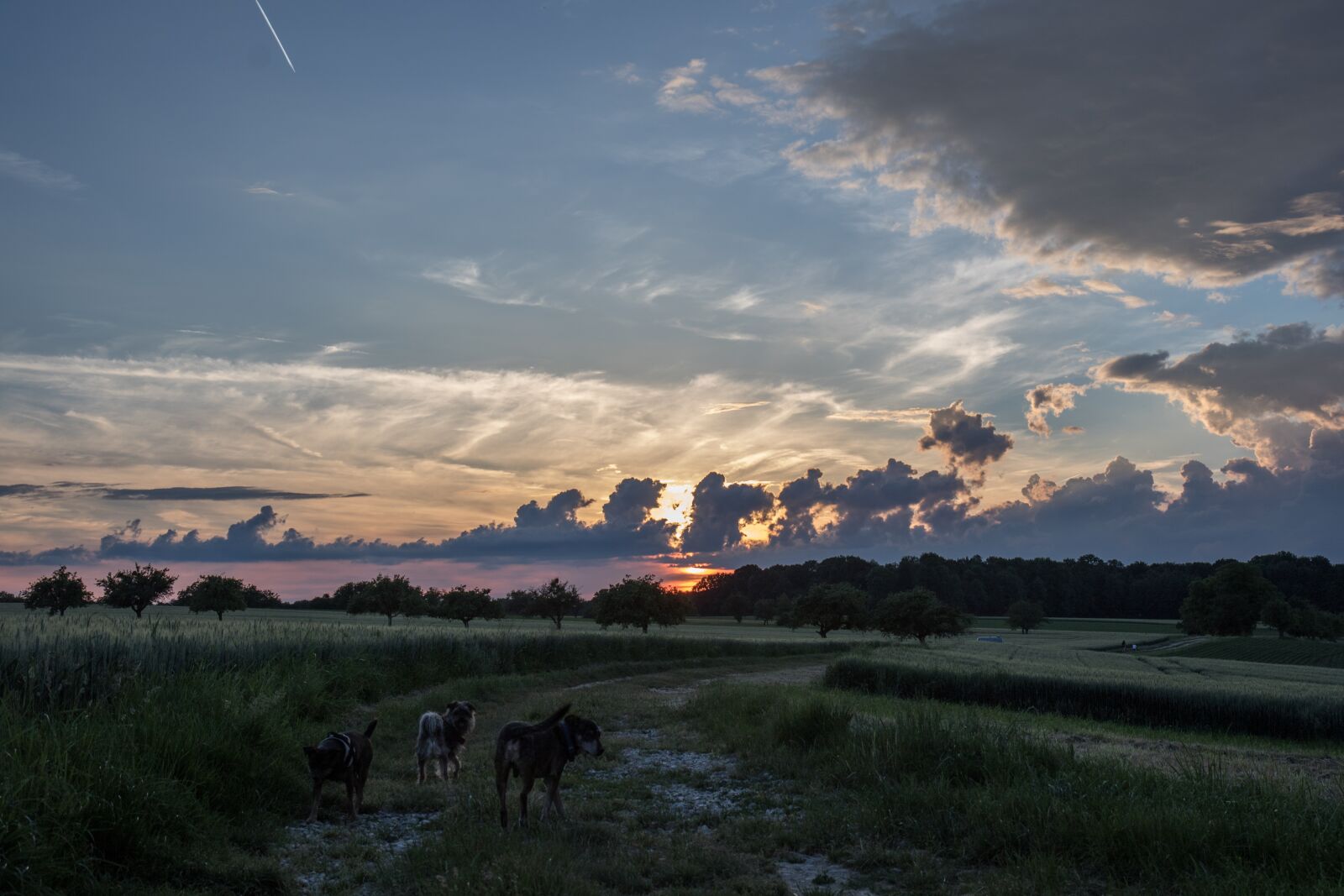 Canon EOS 7D Mark II sample photo. Landscape, summer, nature photography