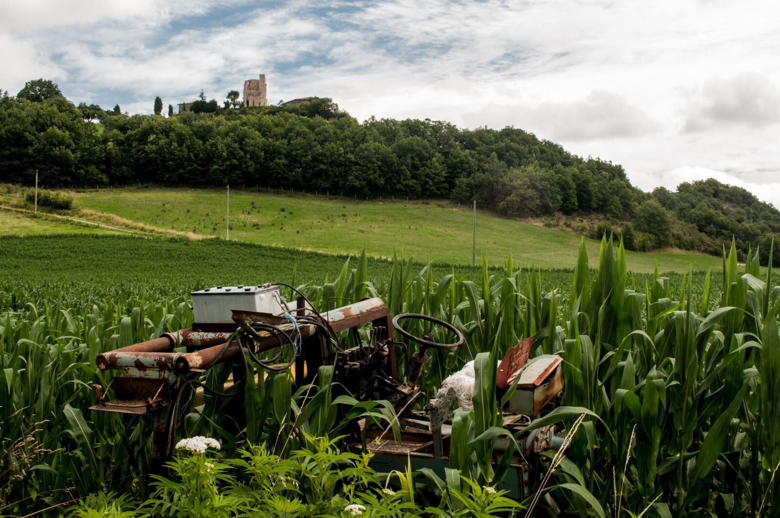 Nikon D5000 sample photo. Field, broken, farm, tractor photography