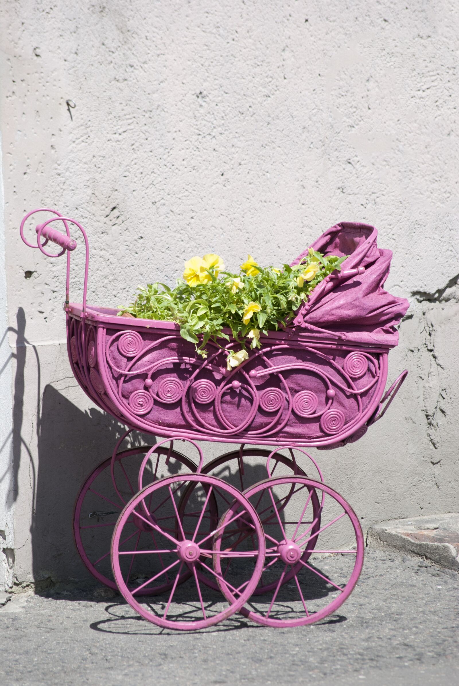 Nikon D40X sample photo. Decoration, flowers, stroller photography