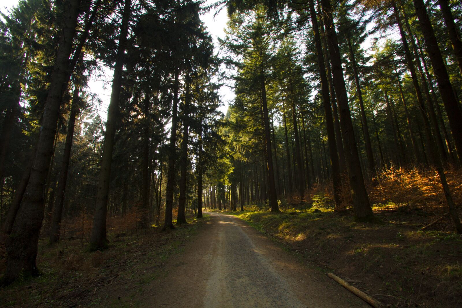 Tamron SP AF 10-24mm F3.5-4.5 Di II LD Aspherical (IF) sample photo. Forest, hunter, hut photography