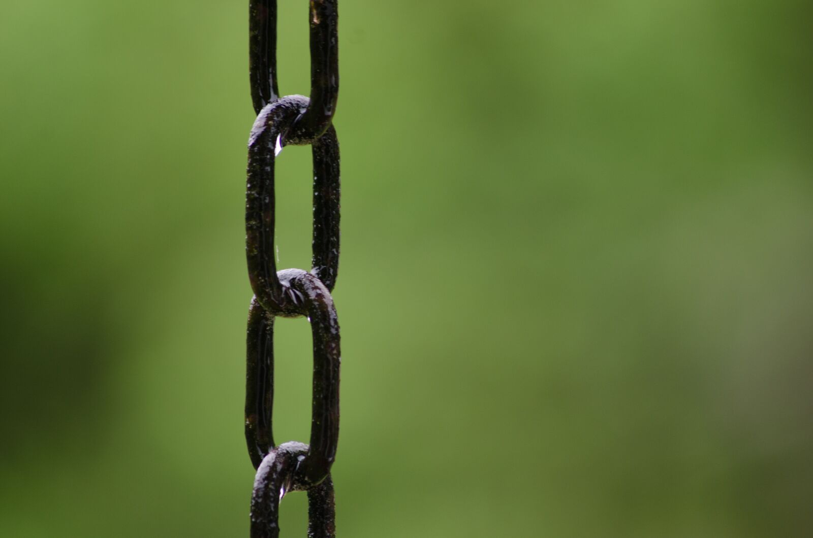 Nikon D7000 sample photo. Chain, wet, link photography