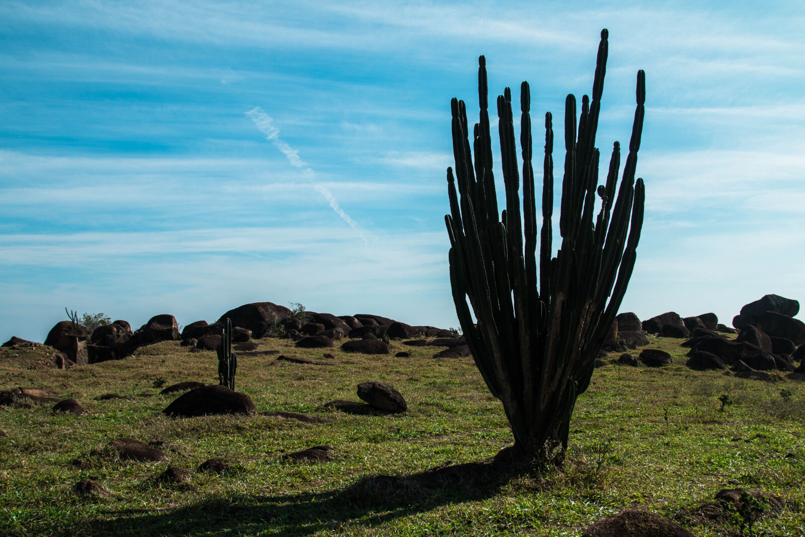 Canon EOS 70D sample photo. Itupeva, brasil photography