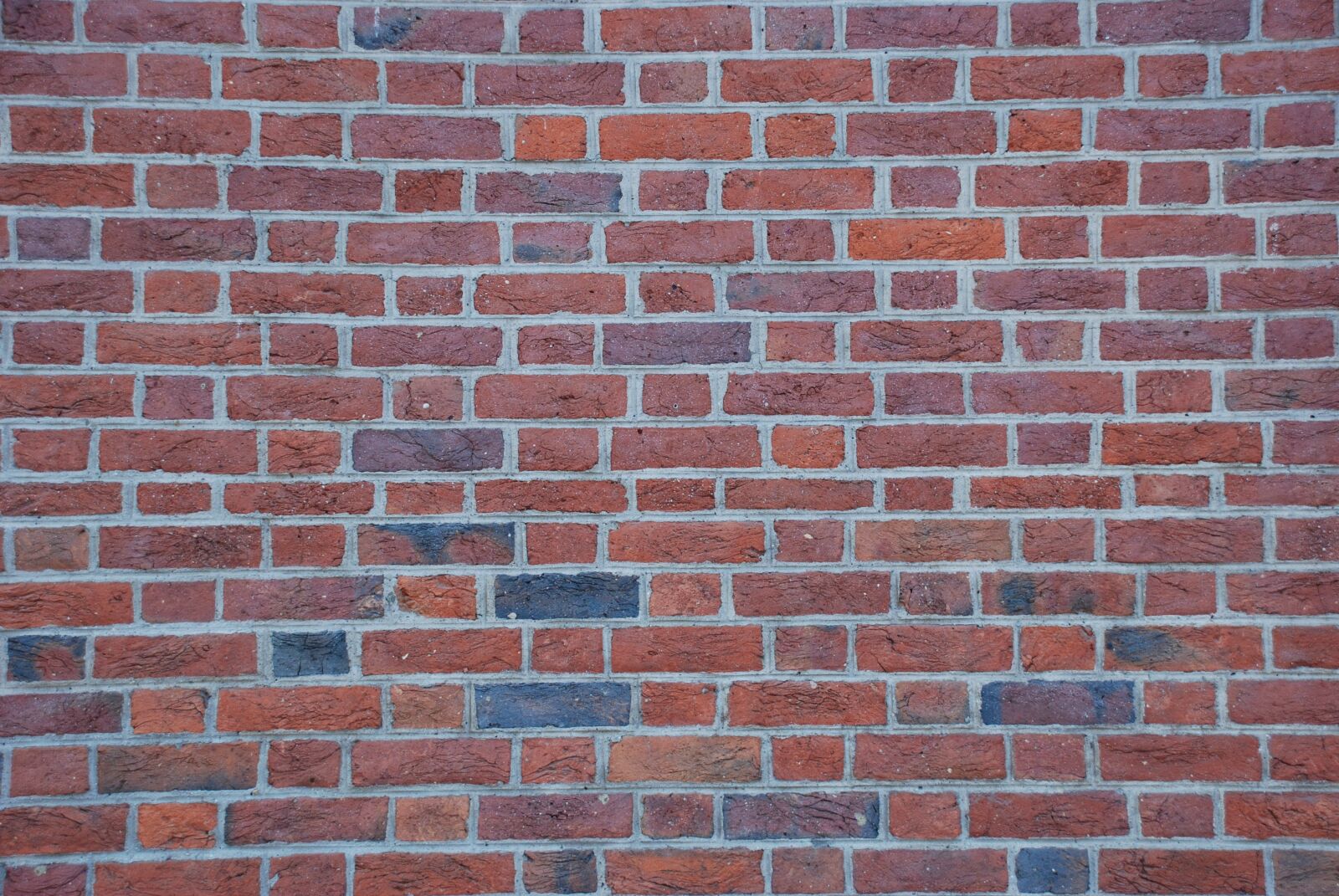Nikon D80 sample photo. Background, brick, texture photography