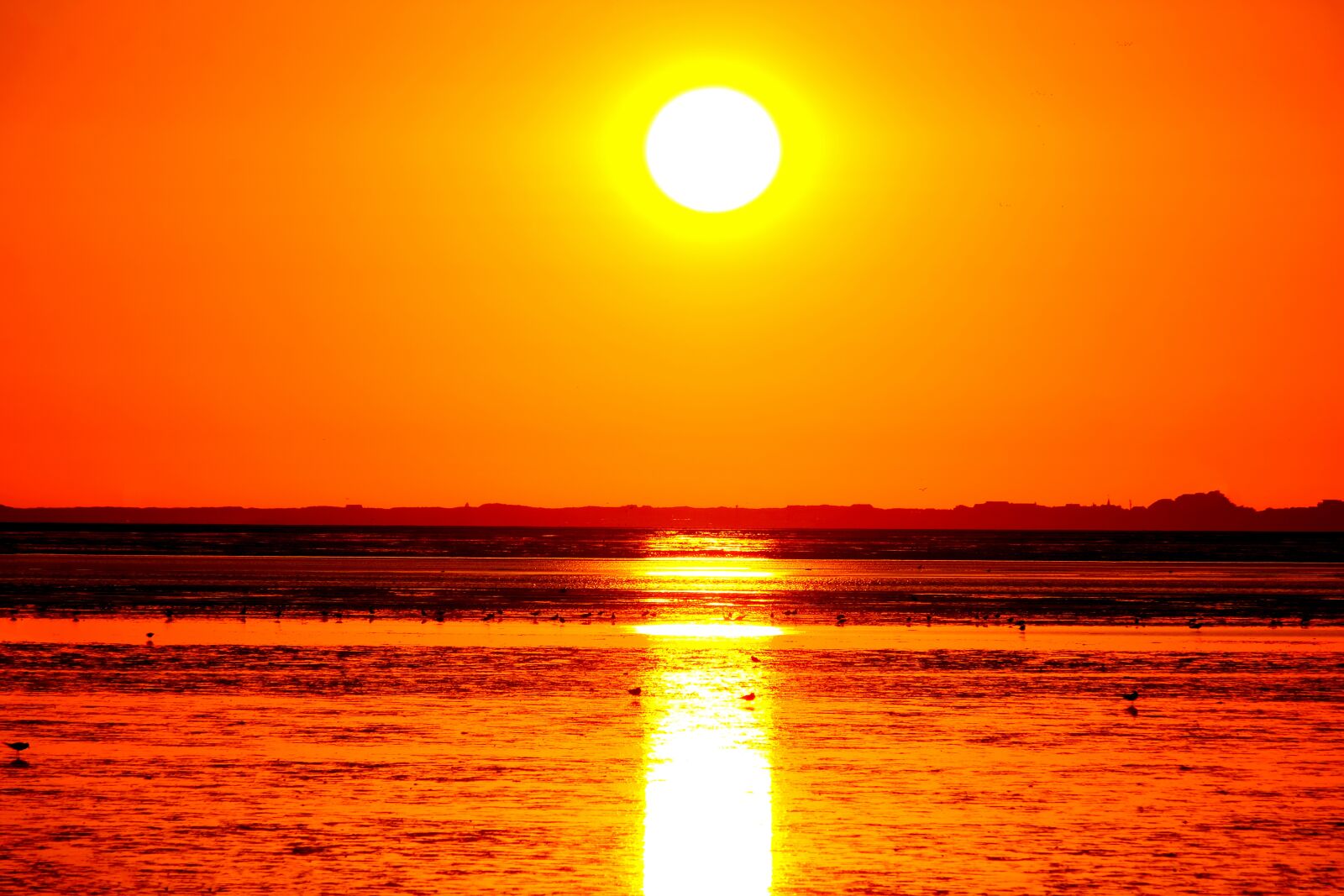 Fujifilm X-T20 sample photo. Sun, sunset, landscape photography