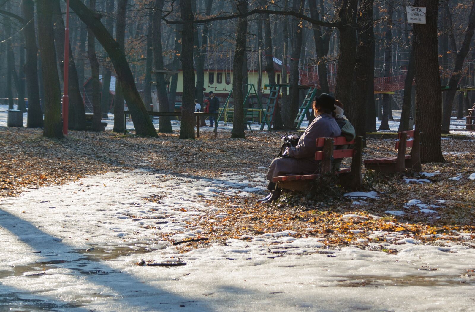 Canon EF-S 18-55mm F3.5-5.6 sample photo. Park, winter, sunshine photography