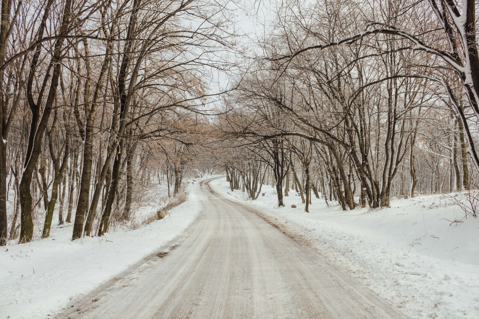 Canon EF-S 18-55mm F3.5-5.6 IS sample photo. Forest road, frost, snowy photography