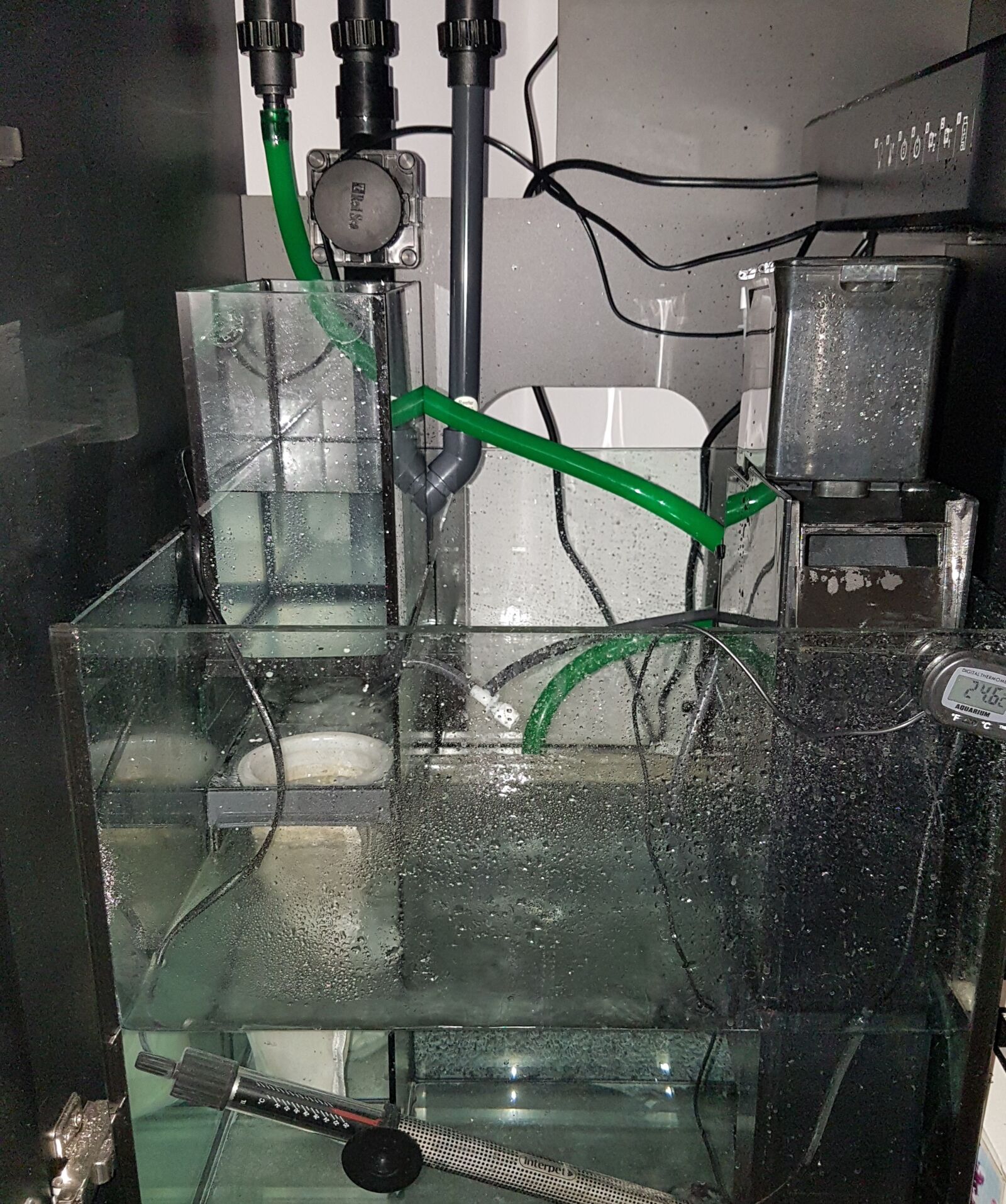 Samsung Galaxy S7 Edge sample photo. Sump pump, marine tank photography