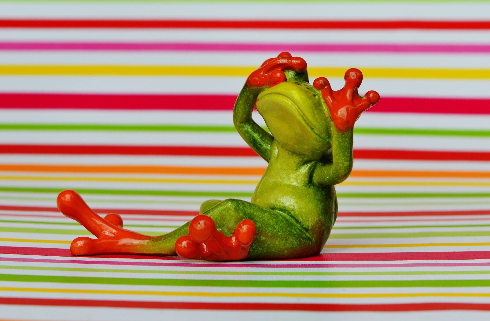 Nikon D3200 sample photo. Frog, figure, not see photography