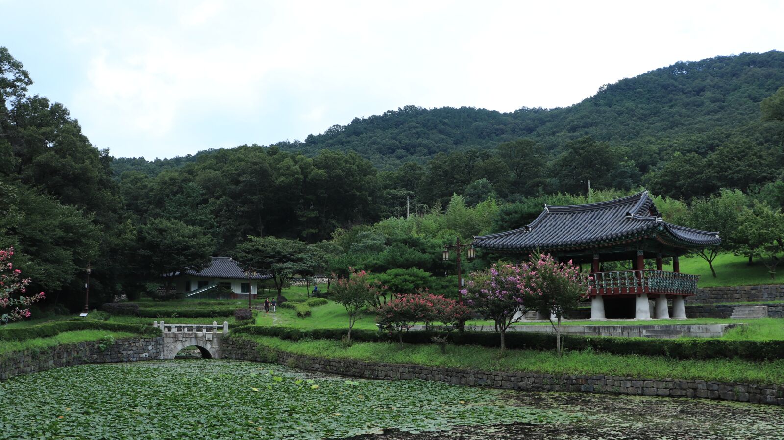 Canon EOS 800D (EOS Rebel T7i / EOS Kiss X9i) sample photo. Pond, water, tree photography