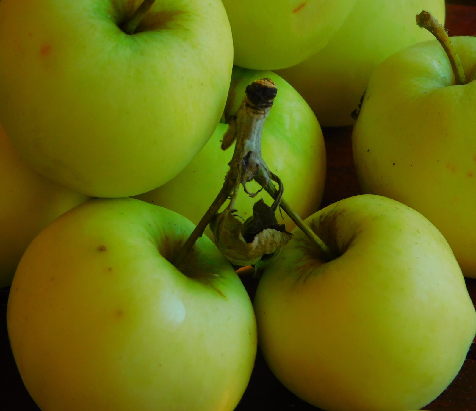 Nikon Coolpix L840 sample photo. Apple, fruit, fruits photography