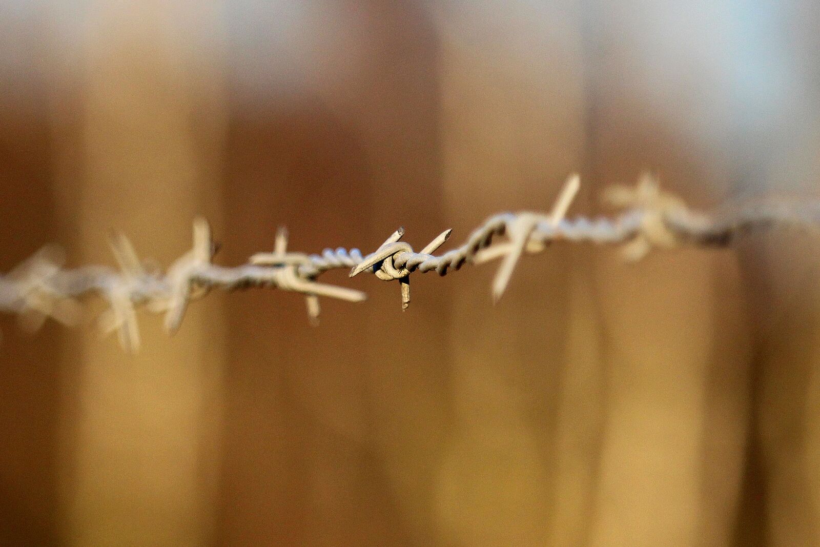 Canon EF-S 55-250mm F4-5.6 IS STM sample photo. Nature, barbed wire, fence photography