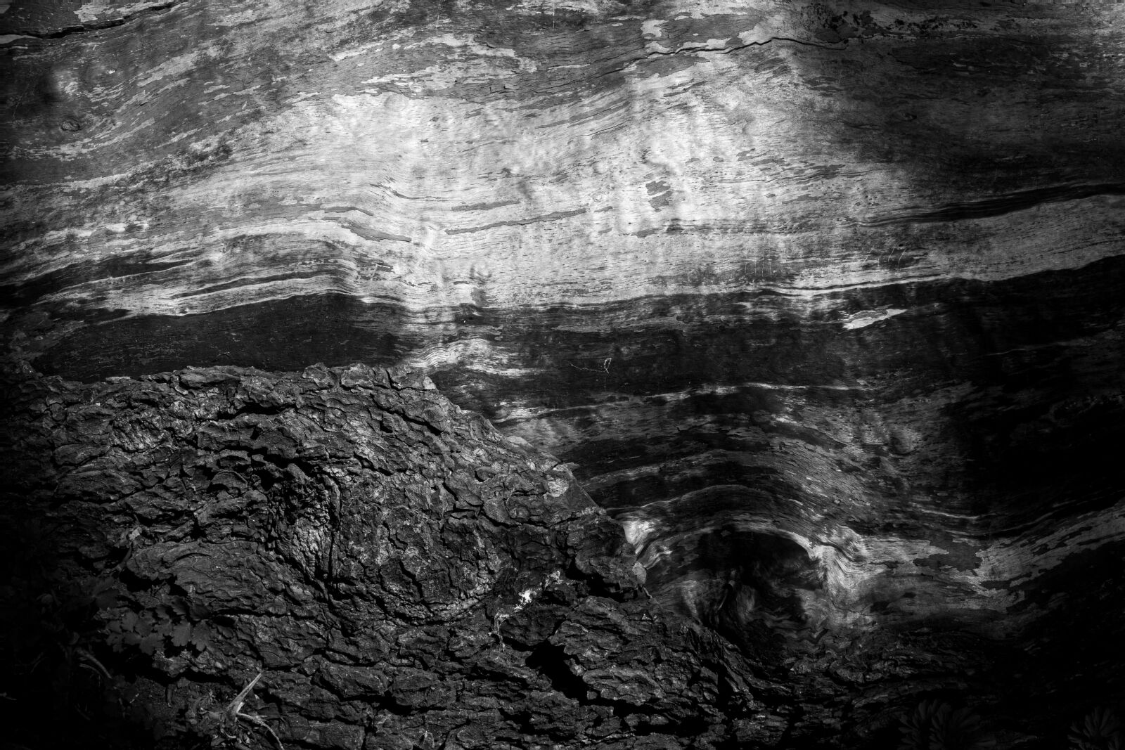 Canon PowerShot G7 X Mark II sample photo. Wood closeup, background, texture photography