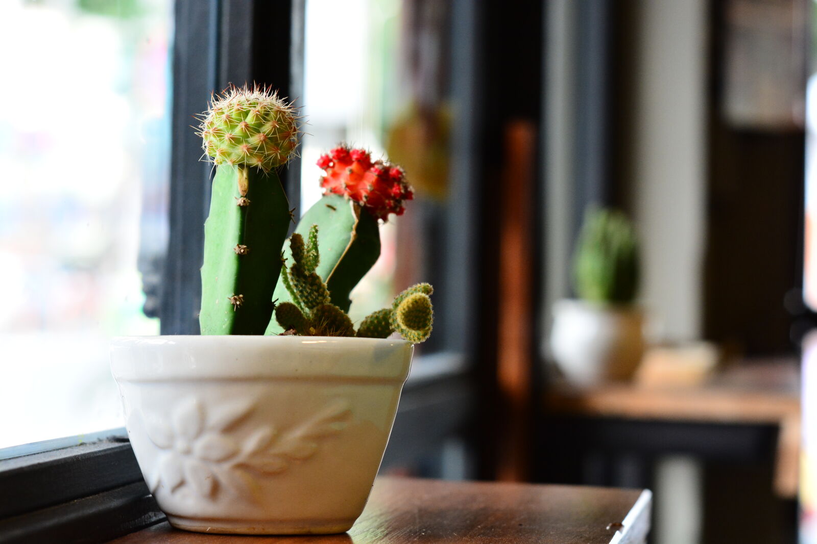 Nikon D7100 + Yongnuo YN50mm F1.8N sample photo