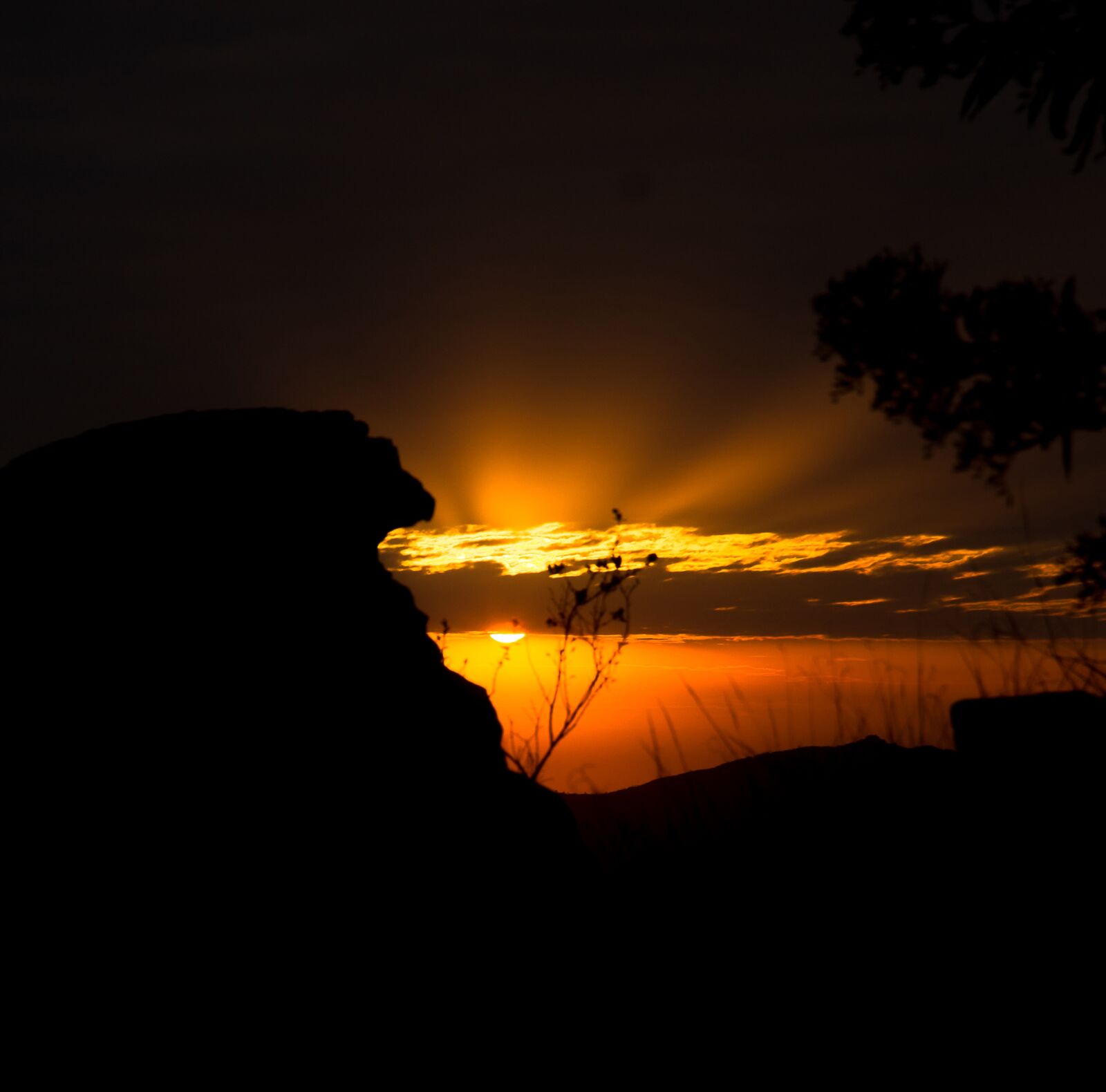 Nikon D3100 sample photo. Sol, nature, paisa photography