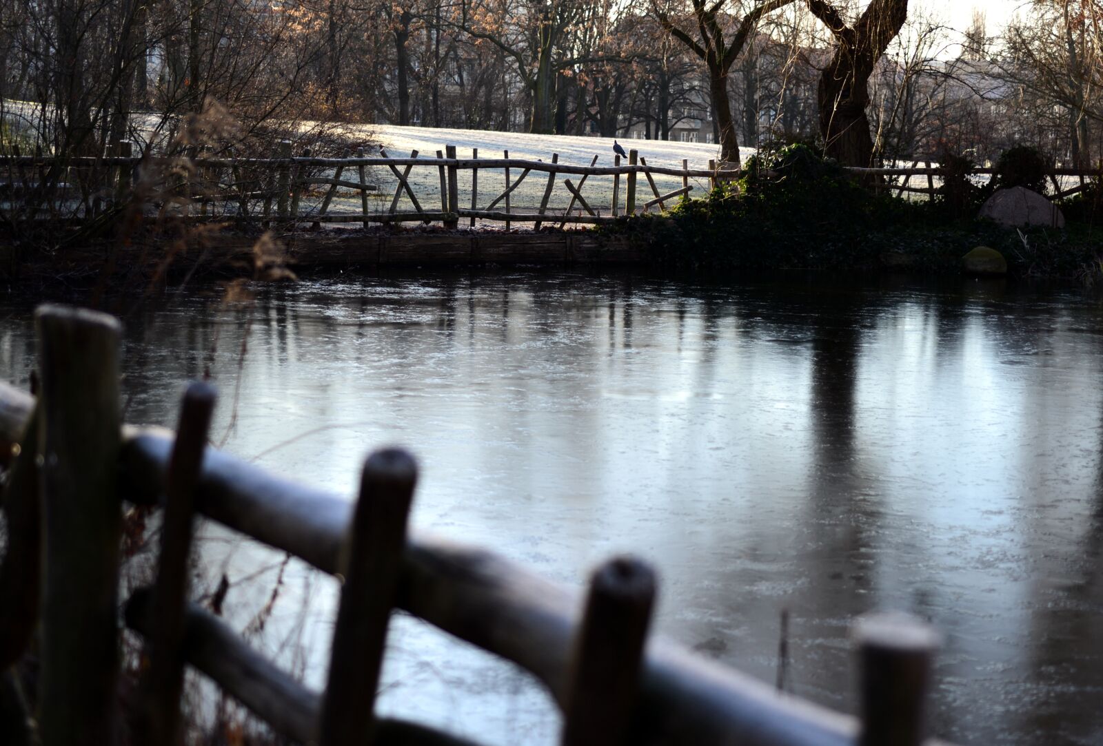 Nikon D610 sample photo. Pond, lake, frozen photography