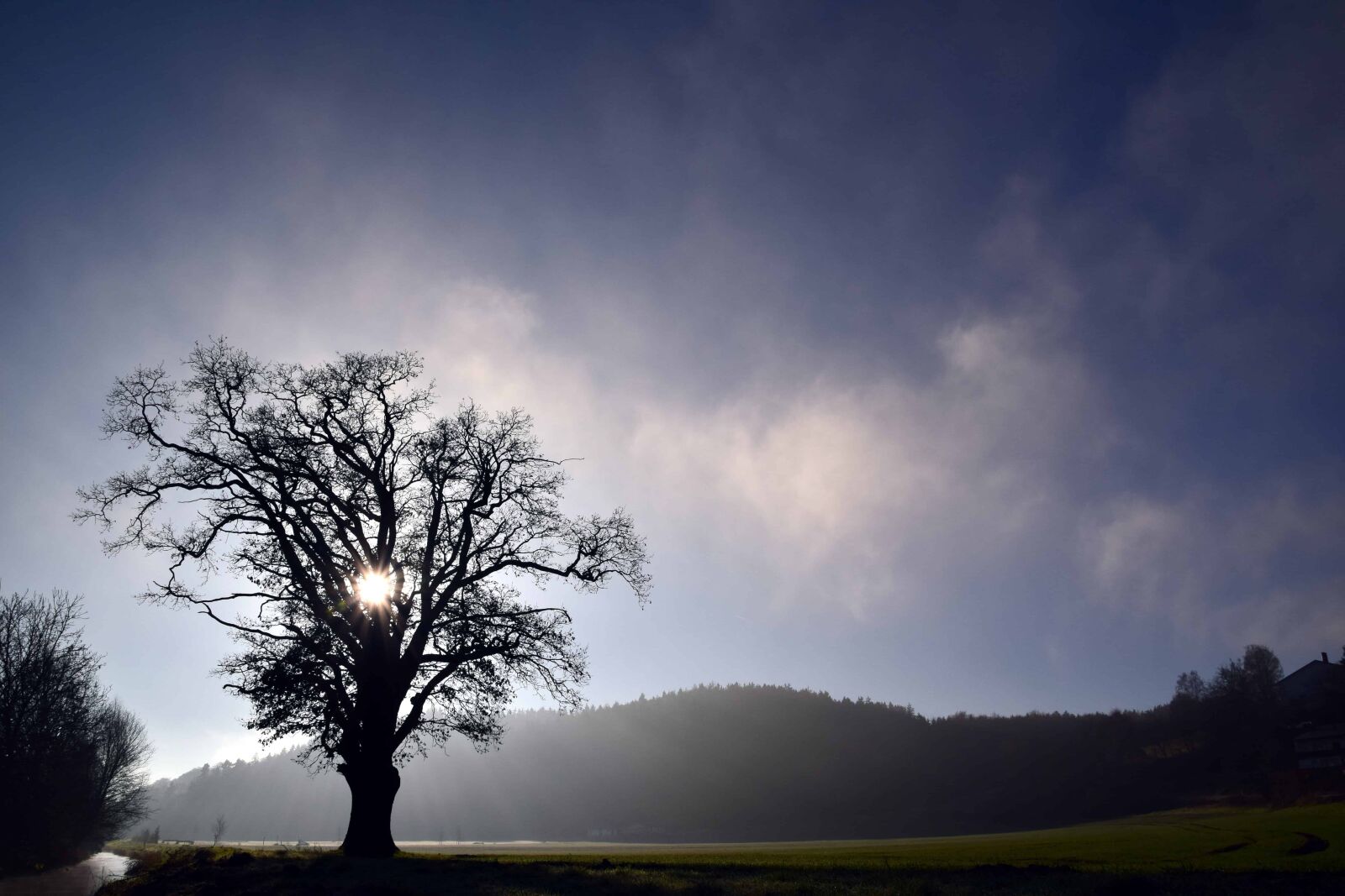 Nikon D3300 sample photo. Tree, sky, dawn, sunset photography