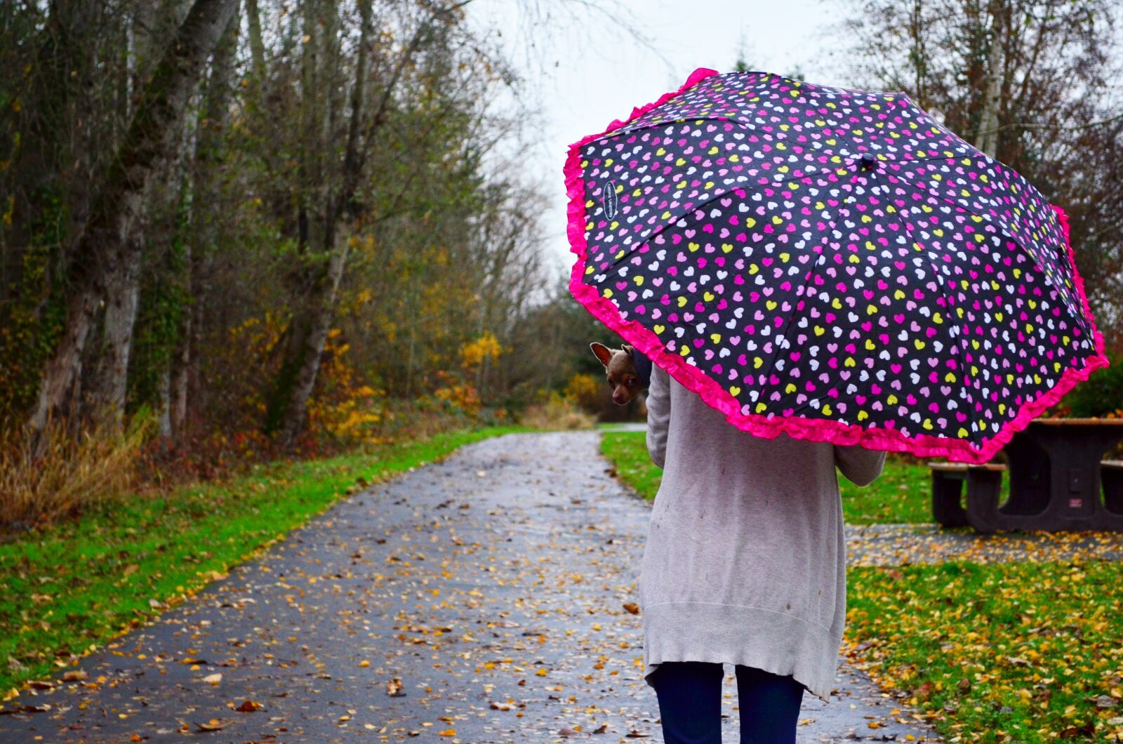 Nikon D5100 sample photo. Woman, umbrella, rain photography