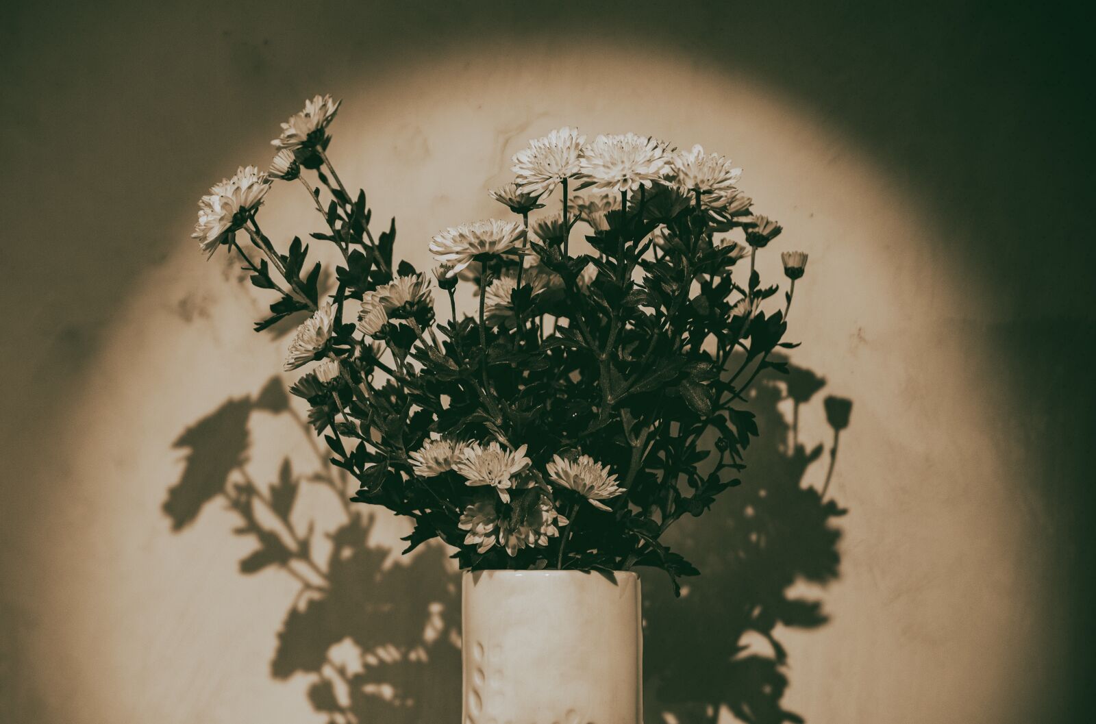 Nikon D7000 sample photo. Still life, flowers, vase photography