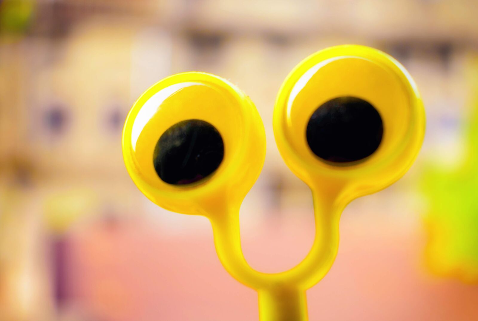 Nikon D3400 sample photo. Toy, character, plush photography