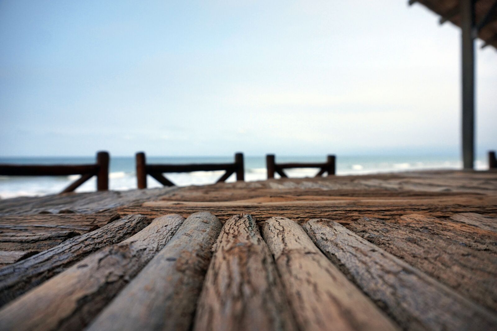 Sony Alpha a5000 (ILCE 5000) sample photo. Sunset, sun, wood photography