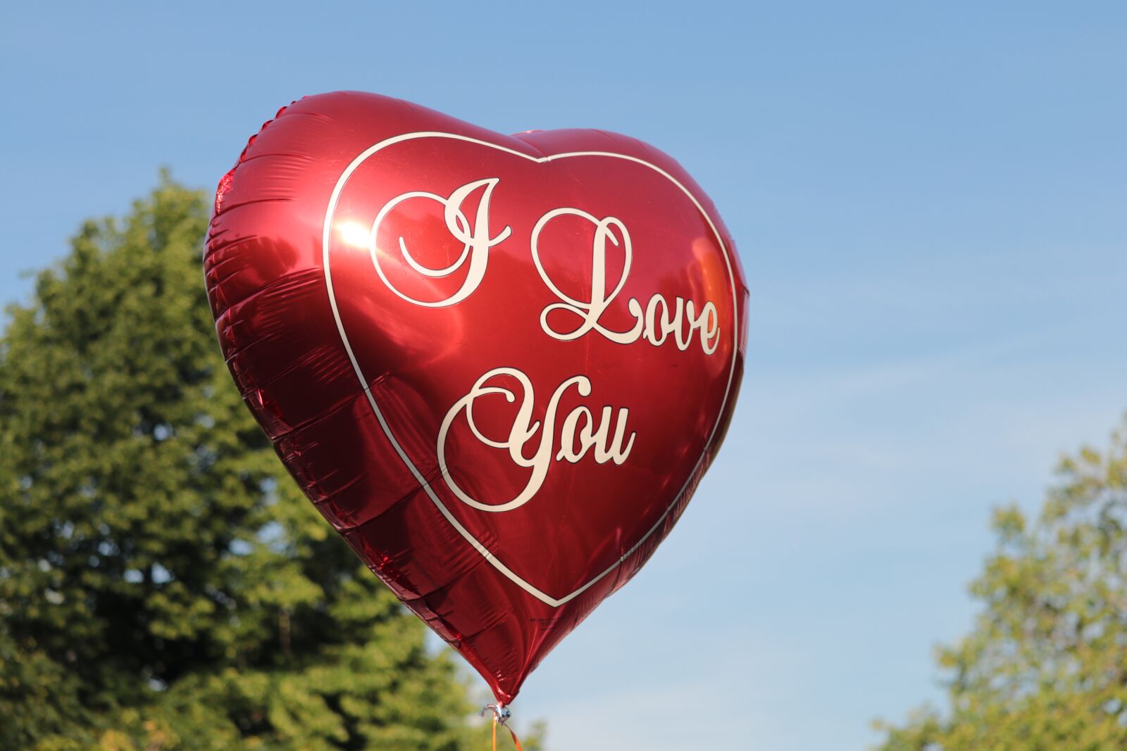 Canon EF-S 55-250mm F4-5.6 IS STM sample photo. Love, embassy, balloon photography