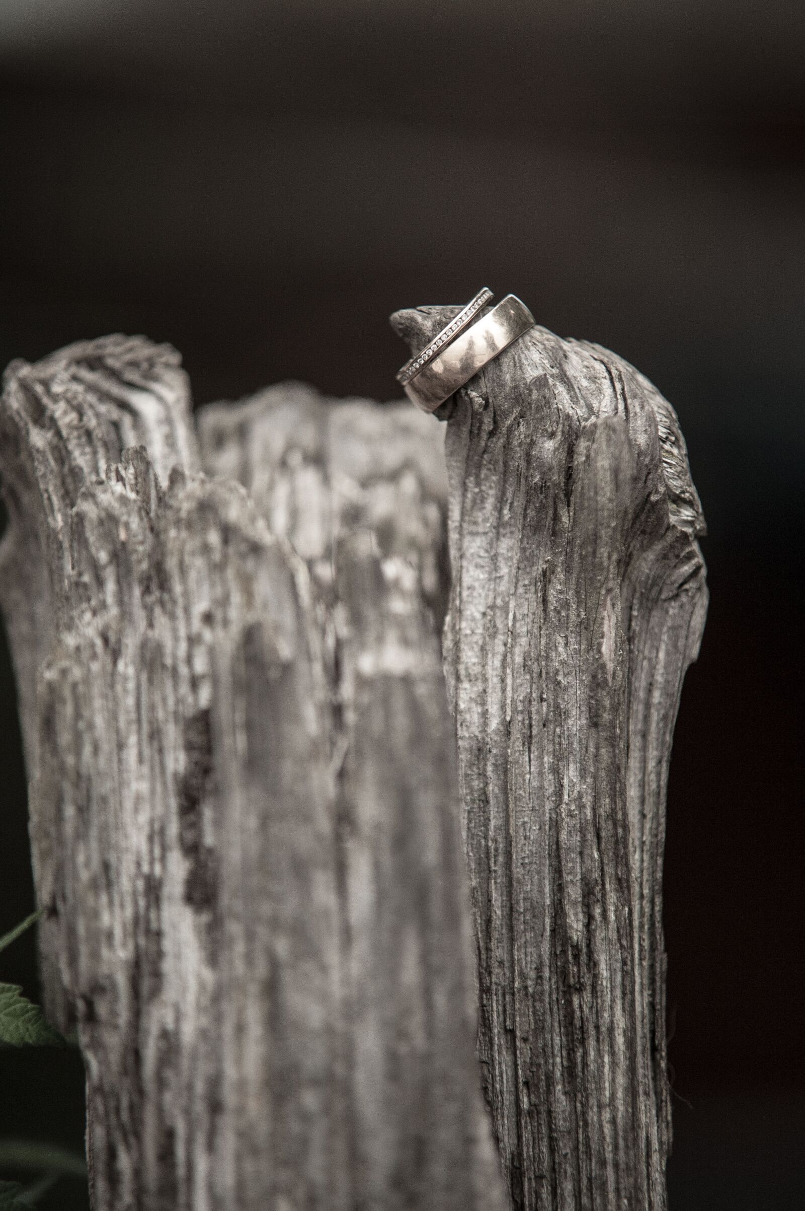 Nikon D700 sample photo. Bride and groom, rings photography