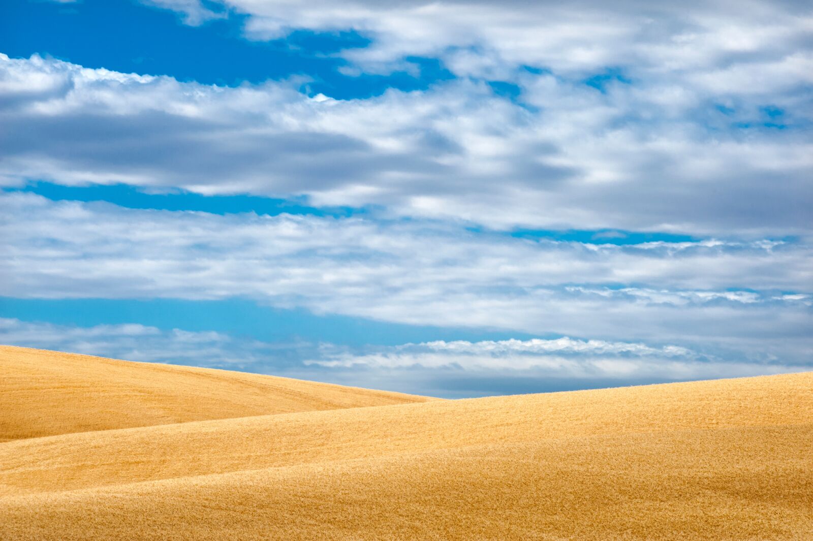 Nikon D700 sample photo. Panoramic, nature, sky photography