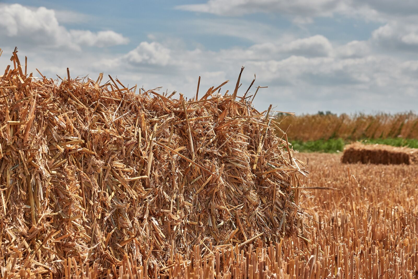 Sony Cyber-shot DSC-RX10 IV sample photo. Straw, harvest, straw bales photography