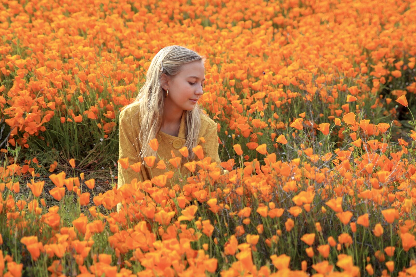 Canon EOS M6 sample photo. California poppy, orange, girl photography