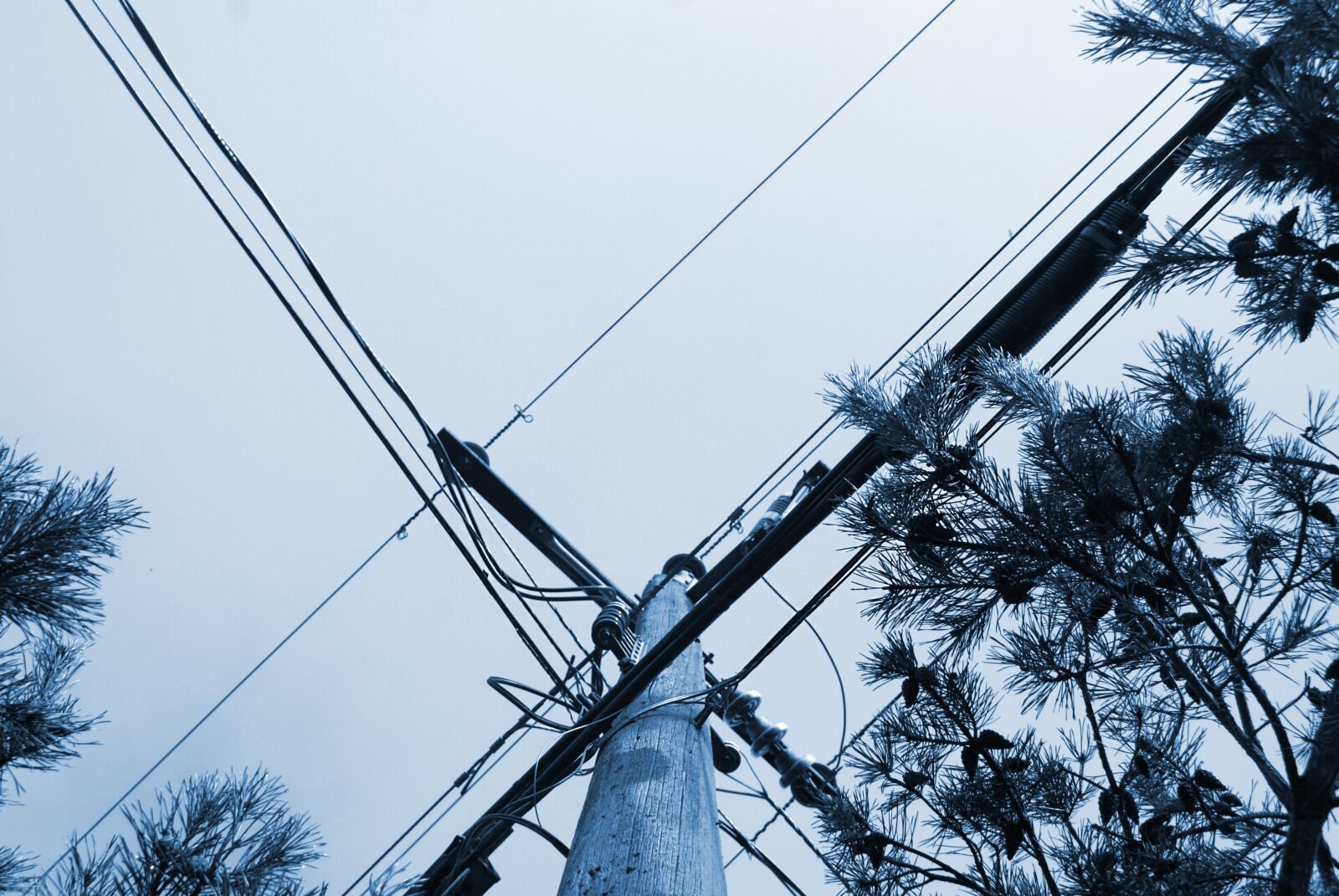 Sony Alpha DSLR-A200 sample photo. Telephone pole, wires, electricity photography