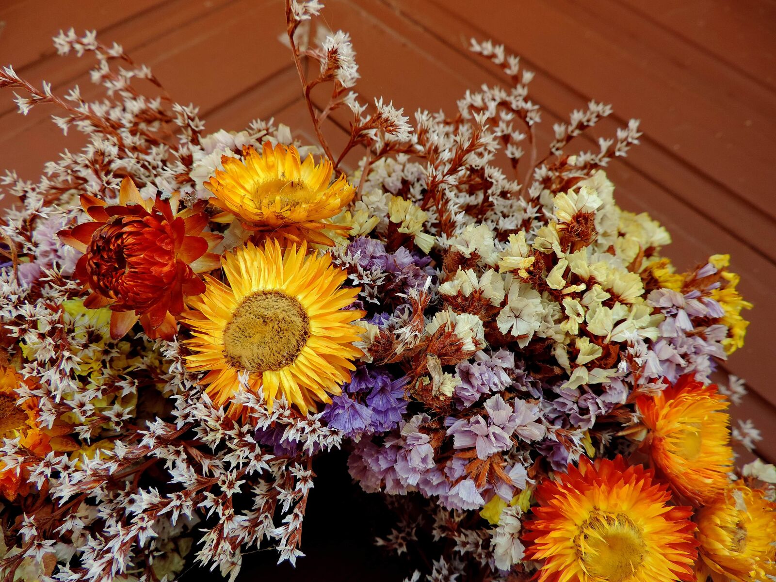 Nikon Coolpix P520 sample photo. Still life, petal, yellow photography