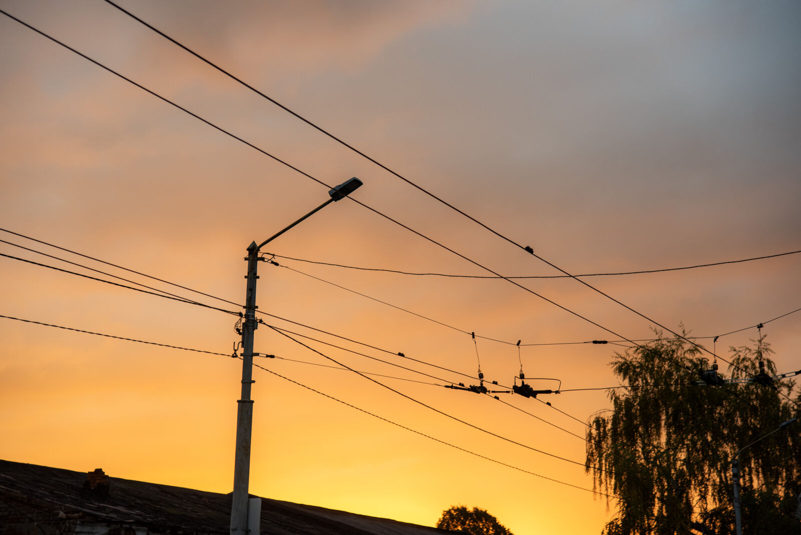 Nikon D750 sample photo