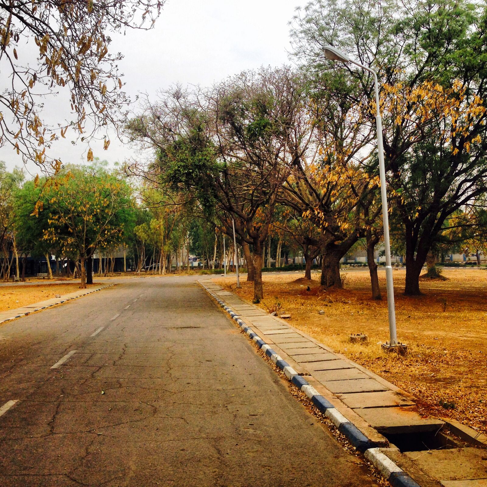 iPhone 5 back camera 4.12mm f/2.4 sample photo. Harmattan, nature, nature, photography photography