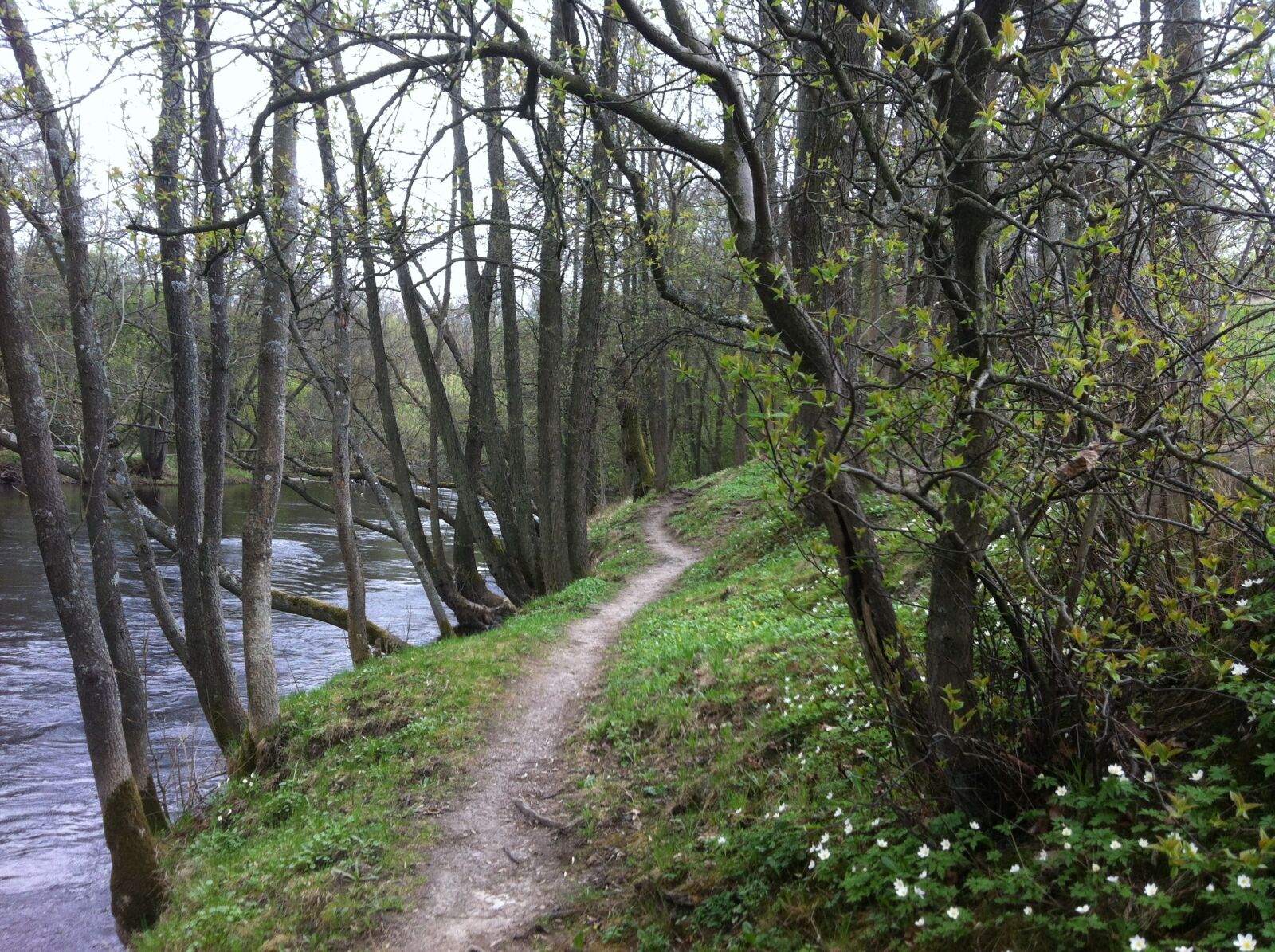 Apple iPhone 4 sample photo. Spring, sweden, outdoor photography