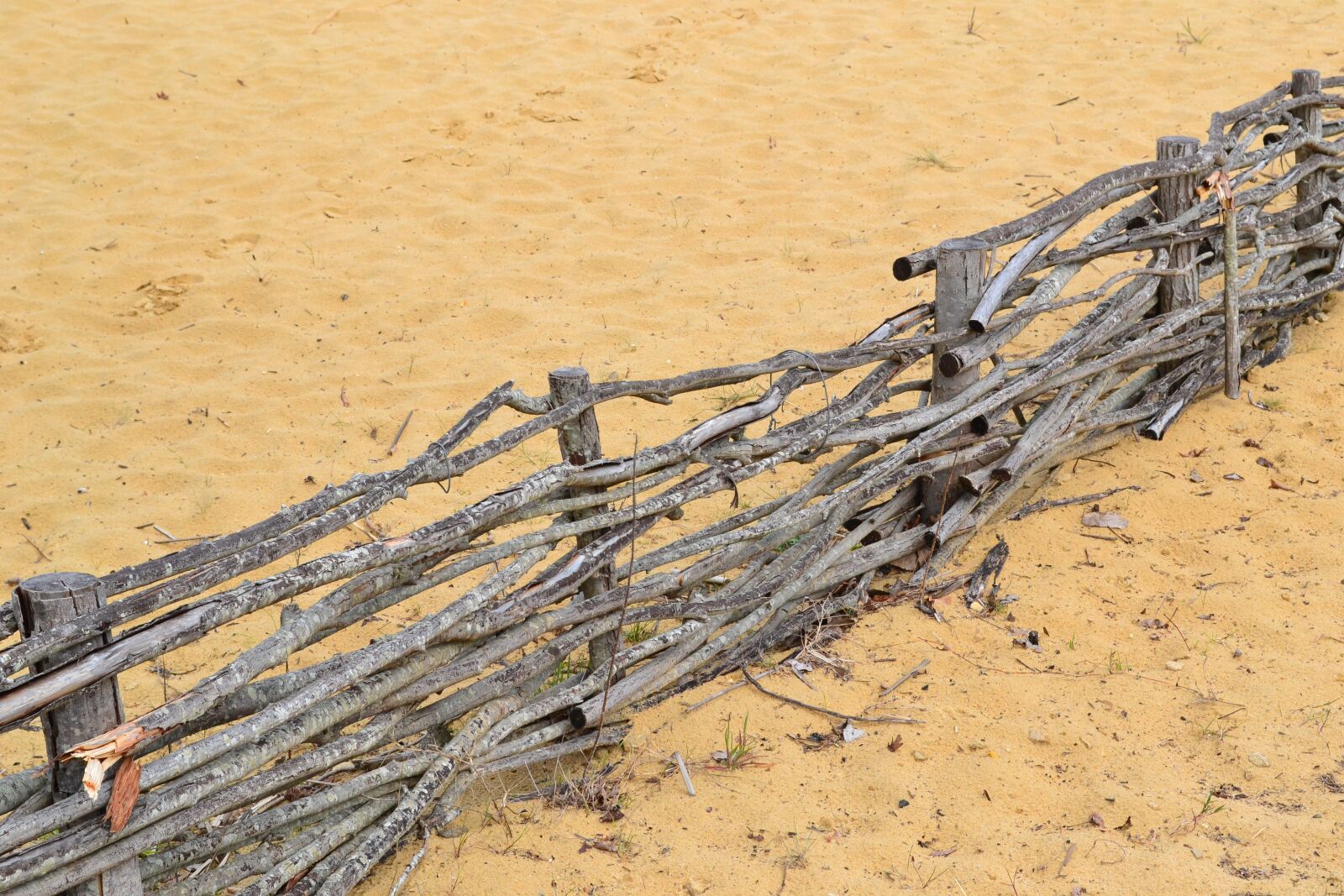Nikon D3100 sample photo. Sand, palisade, beach photography