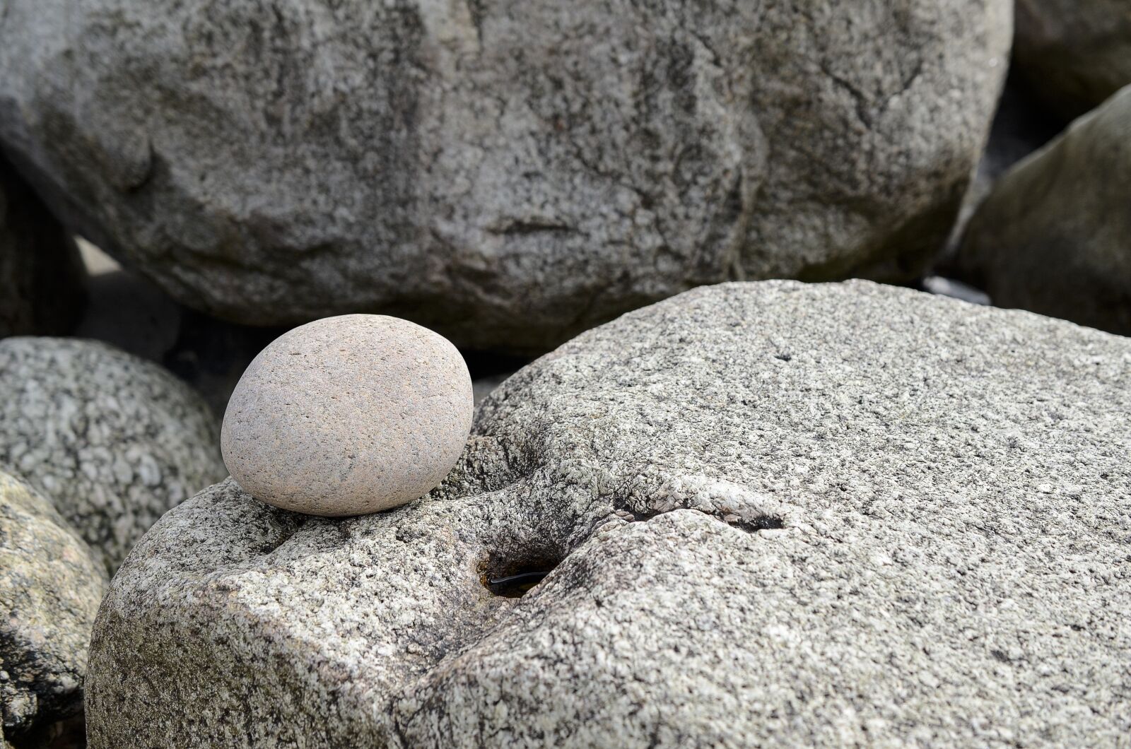 Nikon D7000 sample photo. Nature, stone, summer photography