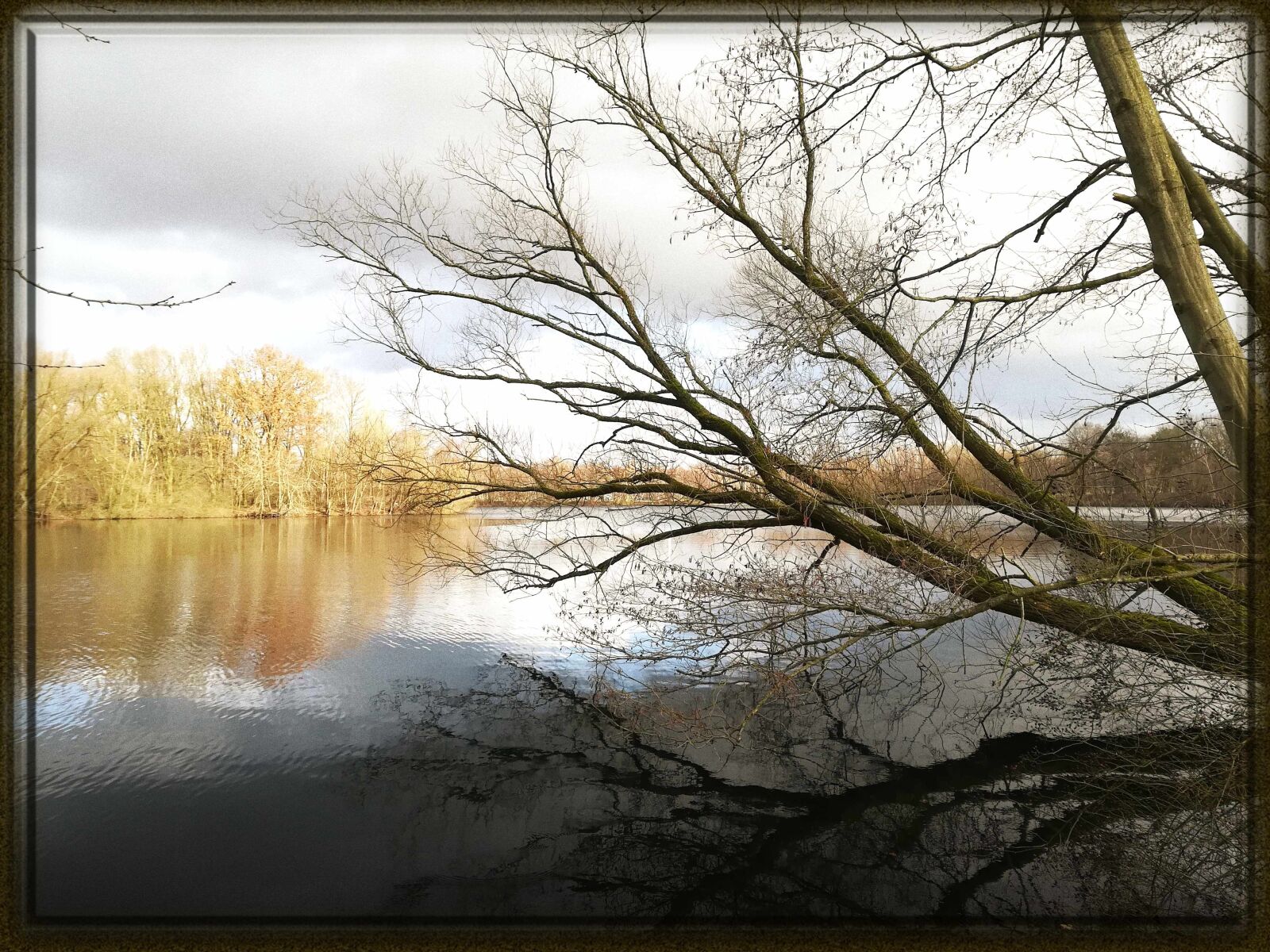 HUAWEI P20 sample photo. Lake, autumn, reflection photography