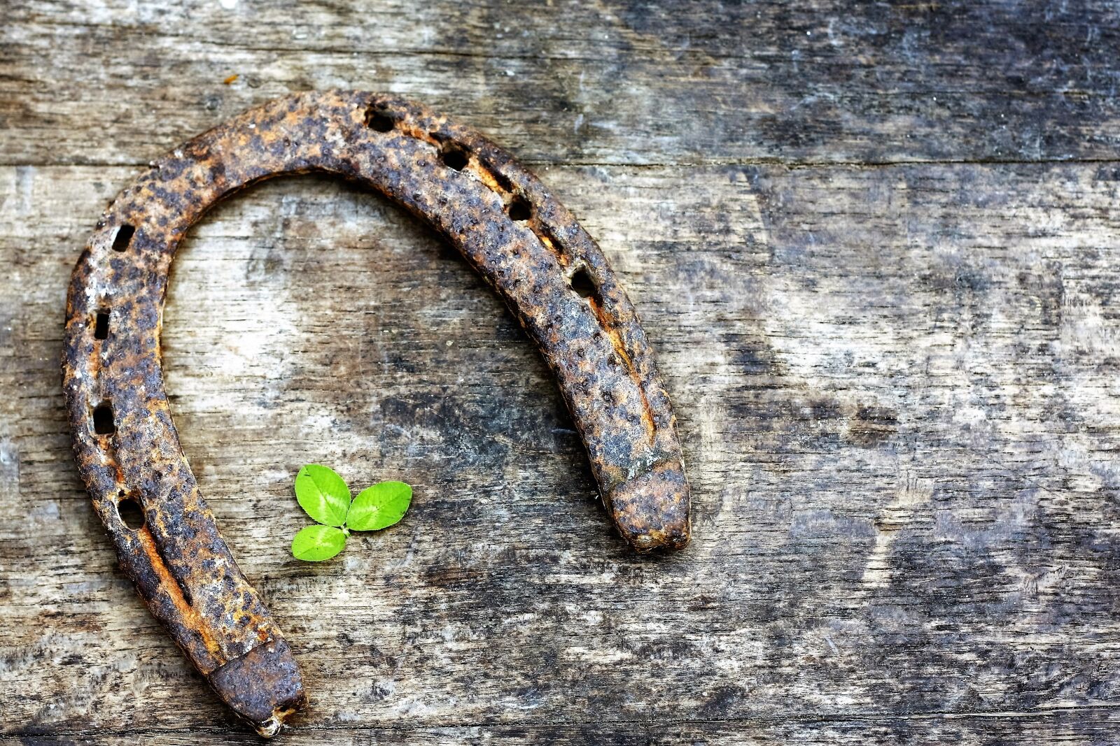 Canon EOS 40D sample photo. Horseshoe, shamrock, symbol photography