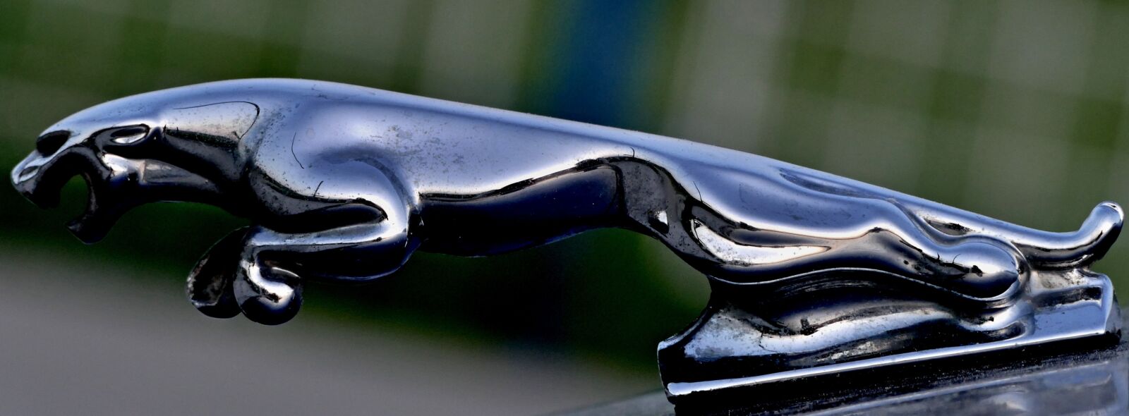 Panasonic Lumix DMC-FZ1000 sample photo. Jaguar, silver, character photography