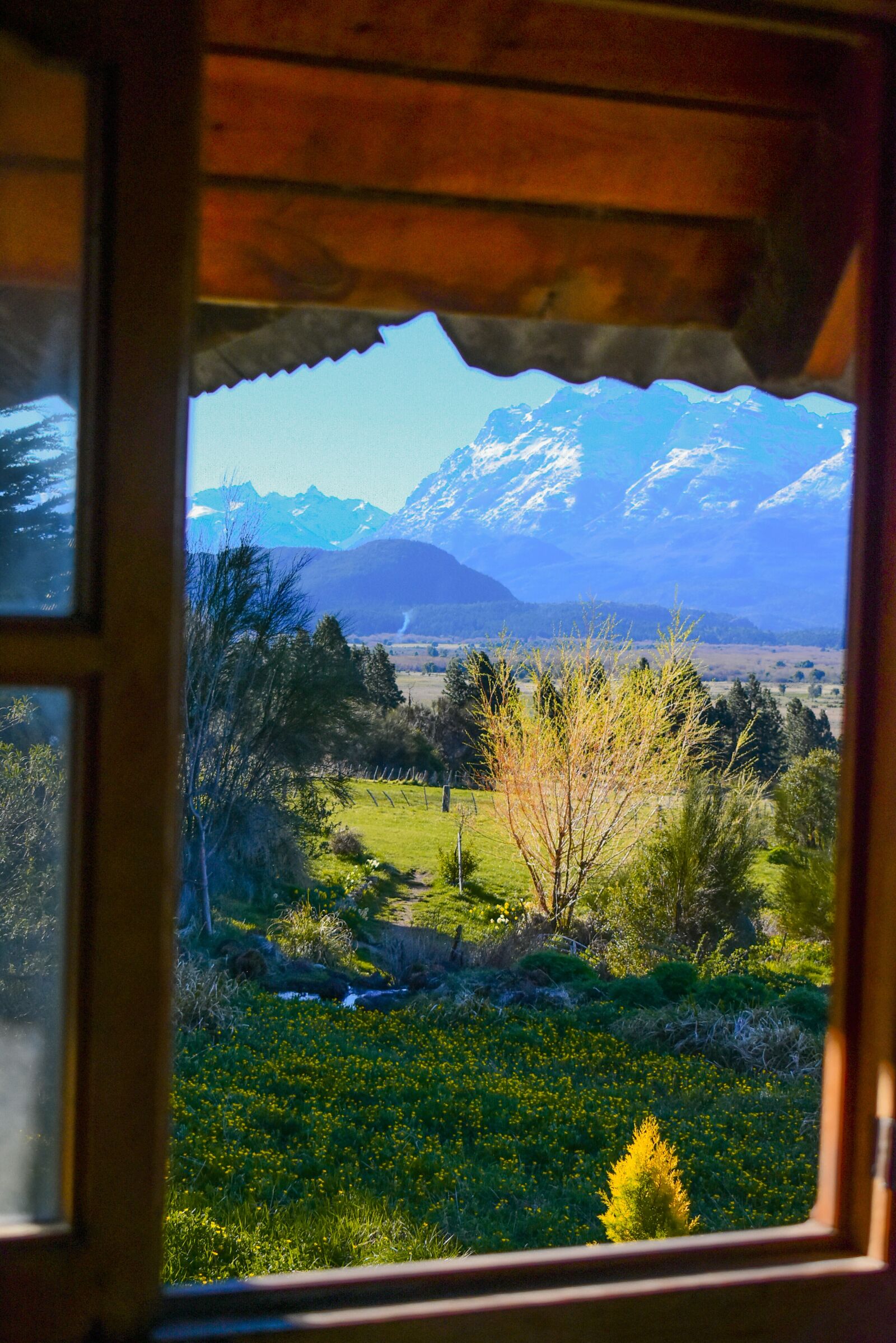 Nikon D3400 sample photo. Mountain, flowers, nature photography