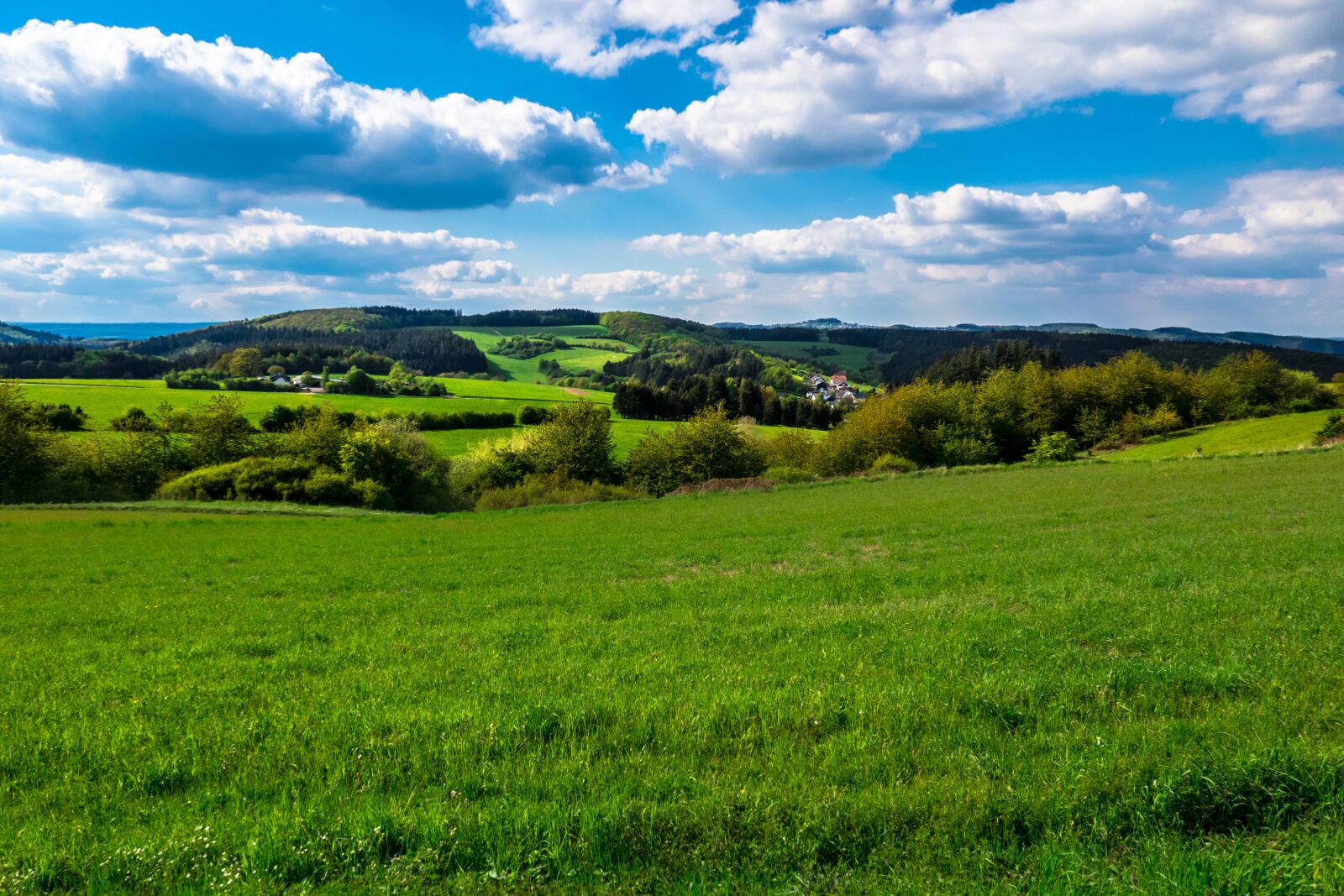Canon PowerShot G3 X sample photo. Meadow, pasture, hill photography