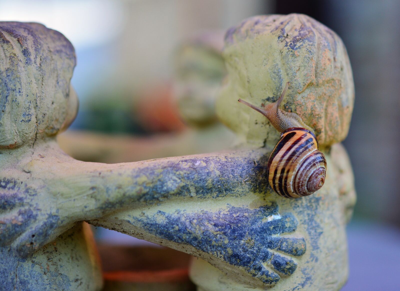 Nikon D5200 sample photo. Snail, tape worm, shell photography