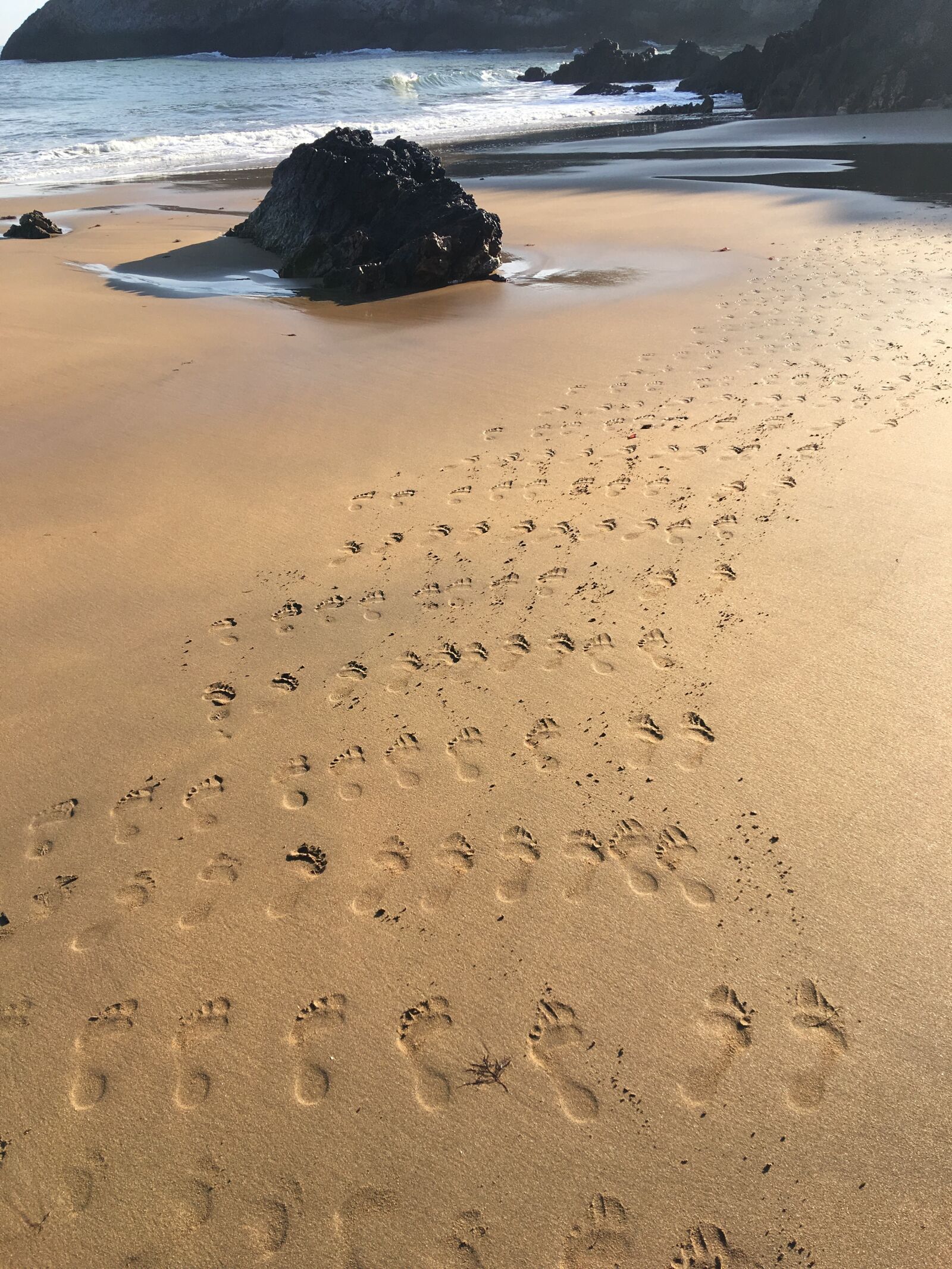 iPhone 6s Plus back camera 4.15mm f/2.2 sample photo. Feet, walk, beach photography