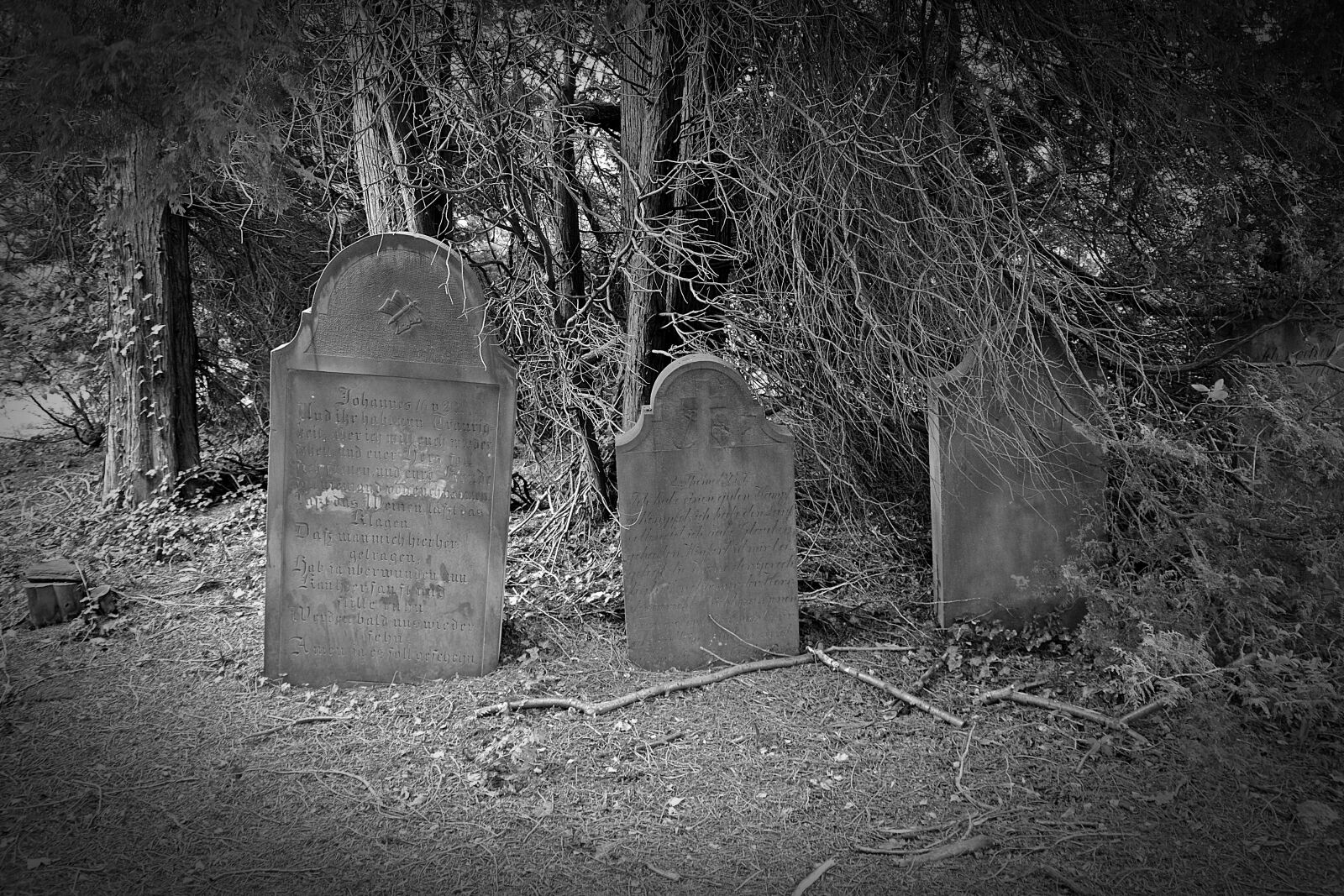 Nikon D5200 sample photo. Tombstone, old grave stones photography