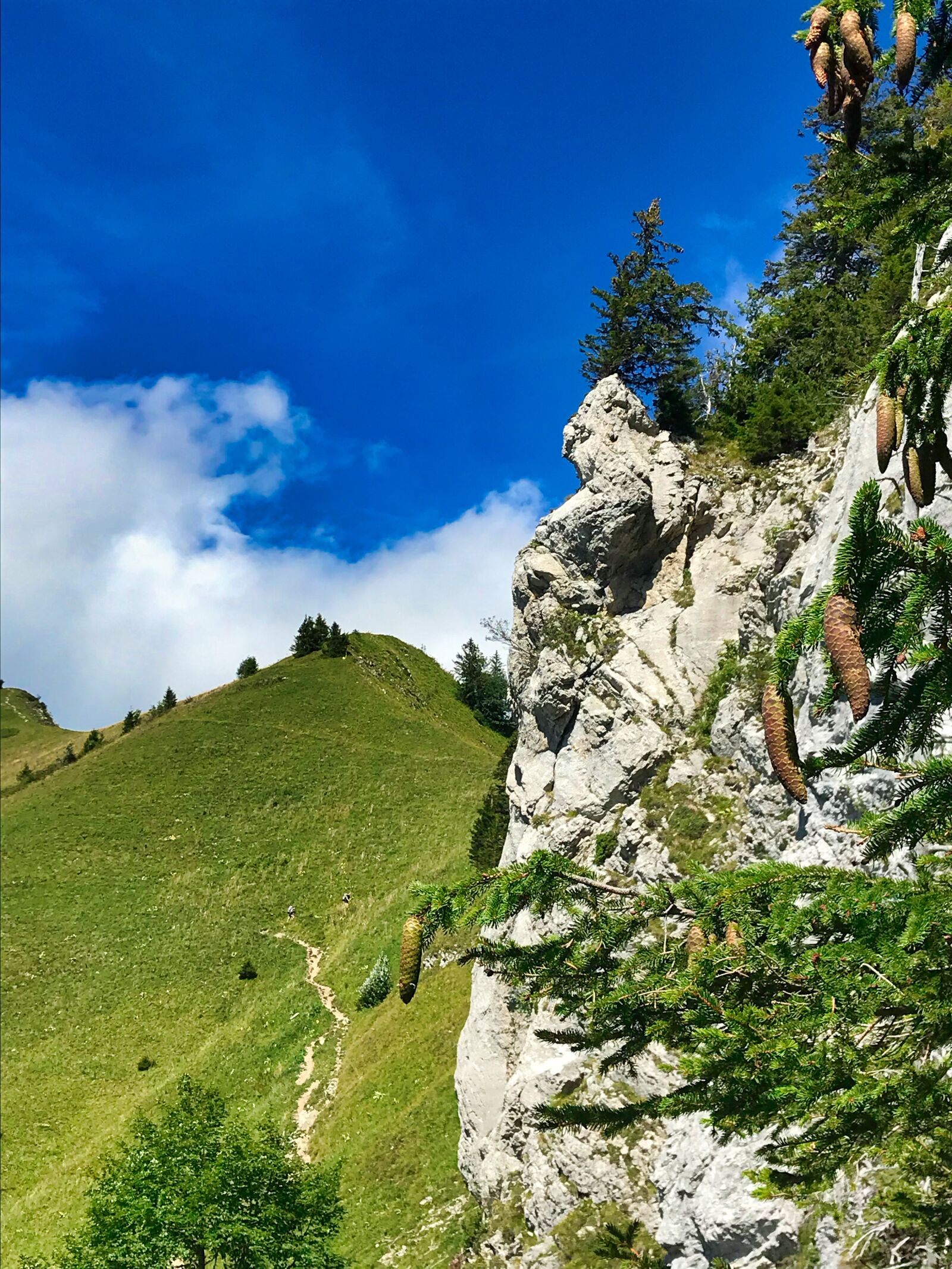 iPhone 7 back camera 3.99mm f/1.8 sample photo. Landscape, countryside, hill photography