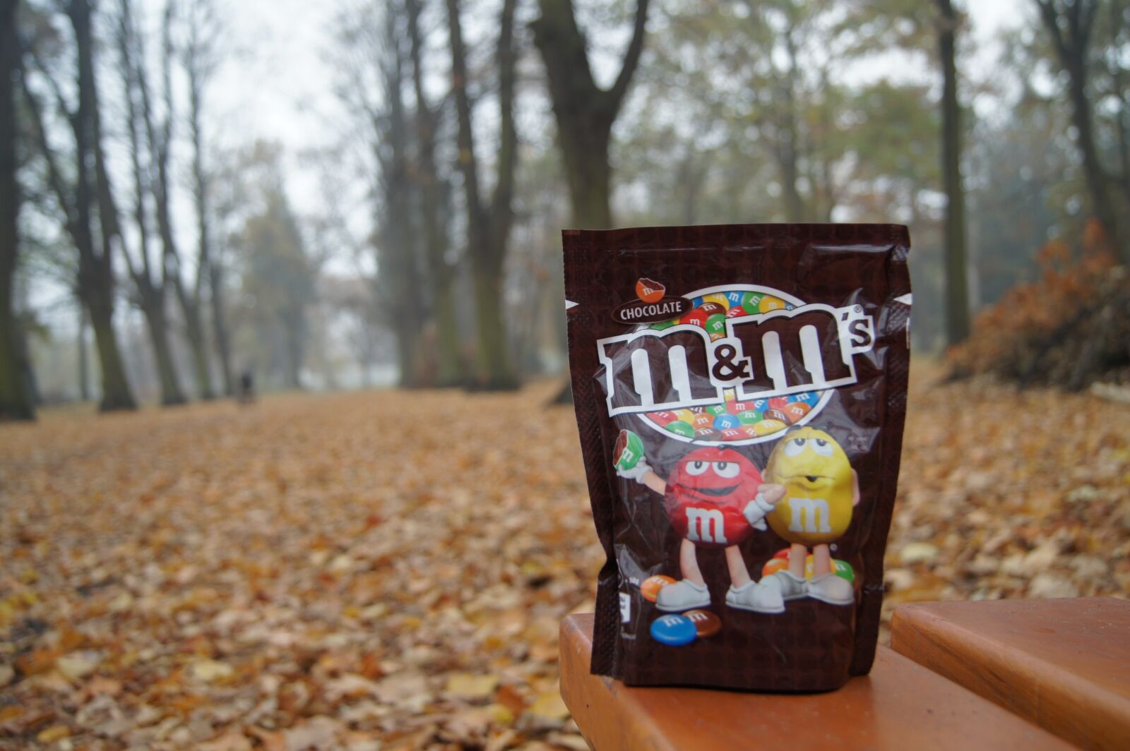 Sony Alpha DSLR-A550 sample photo. Sweets, park, eating photography